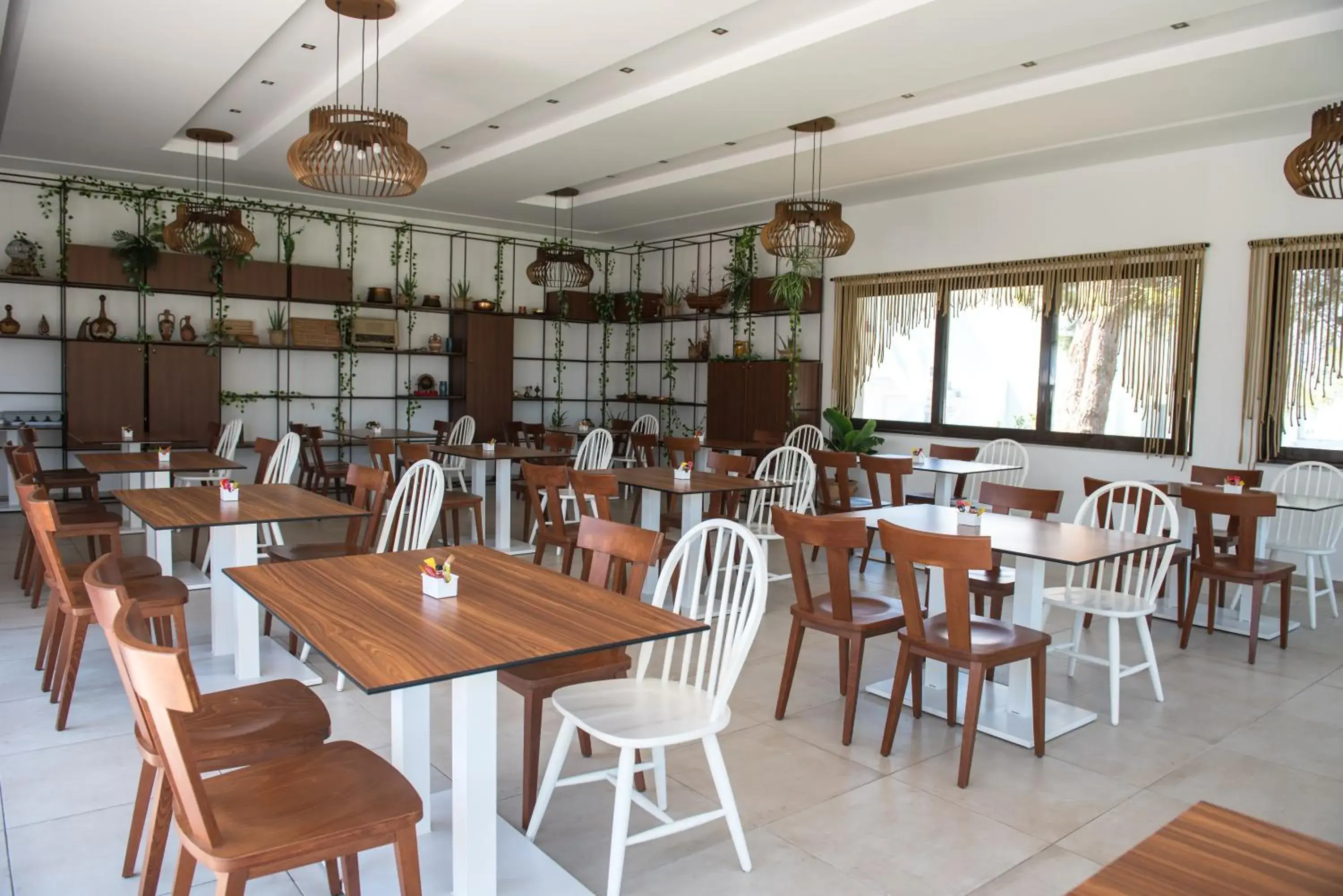 Restaurant/places to eat in Summer Village of Hippokrates - Adults only Restaurant/places to eat in Summer Village of Hippokrates - Adults only