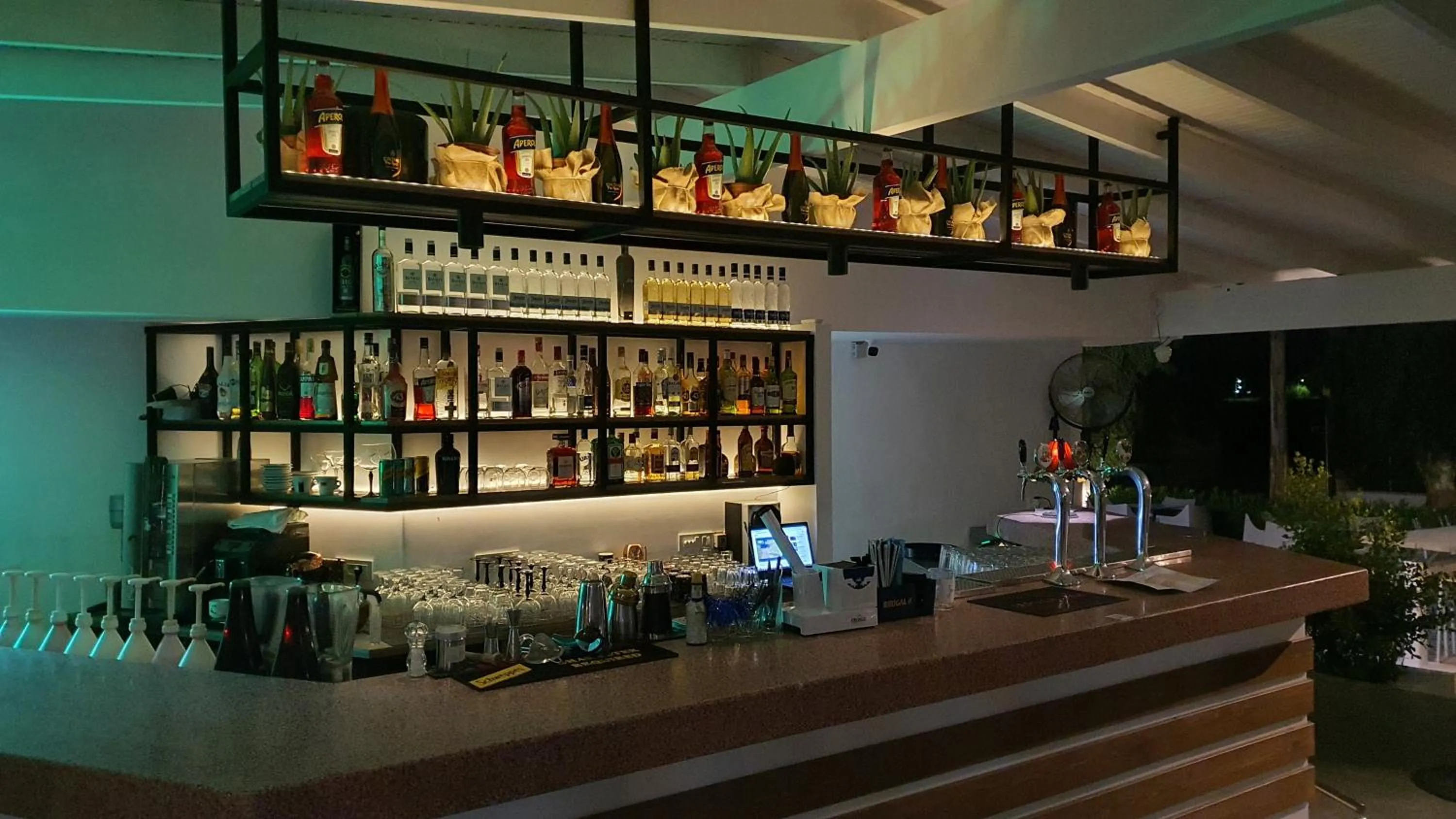 Lounge or bar in Summer Village of Hippokrates - Adults only