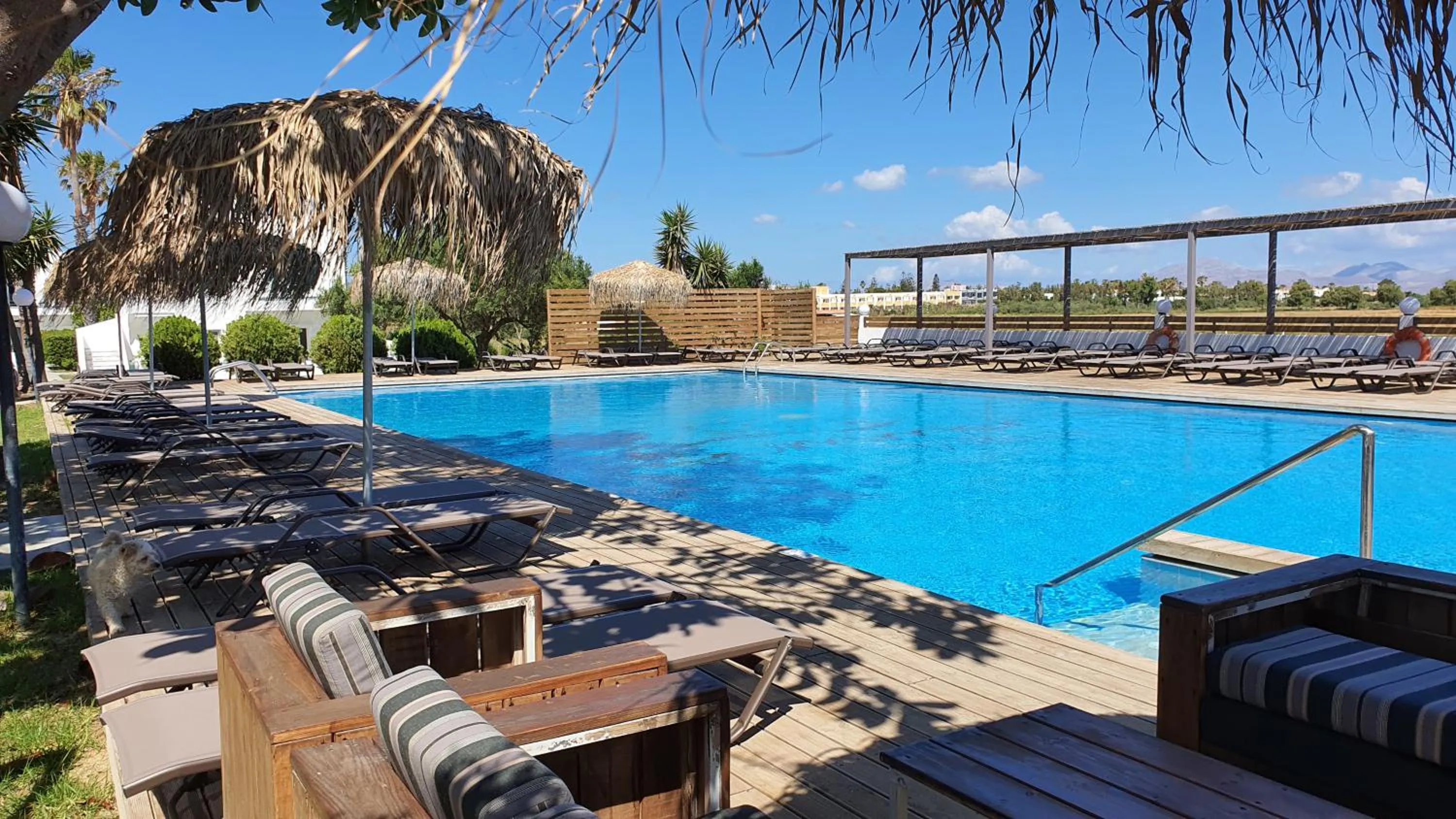 Swimming pool in Summer Village of Hippokrates - Adults only