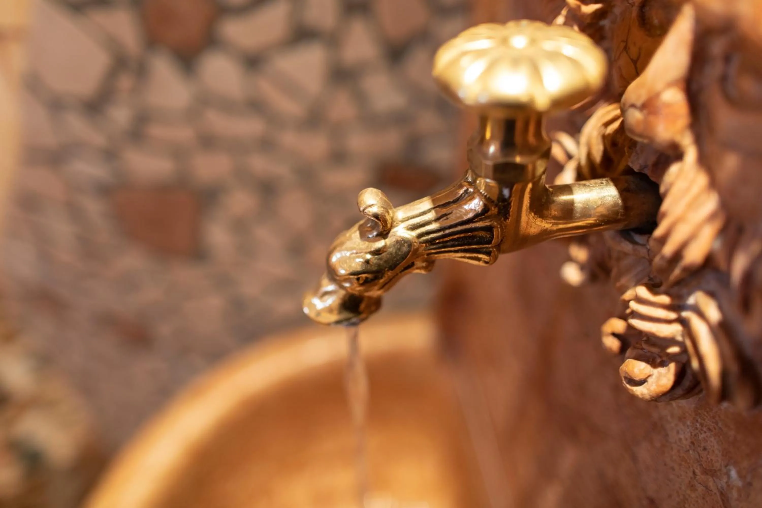 Decorative detail in LAUDEGGHOF Ladis