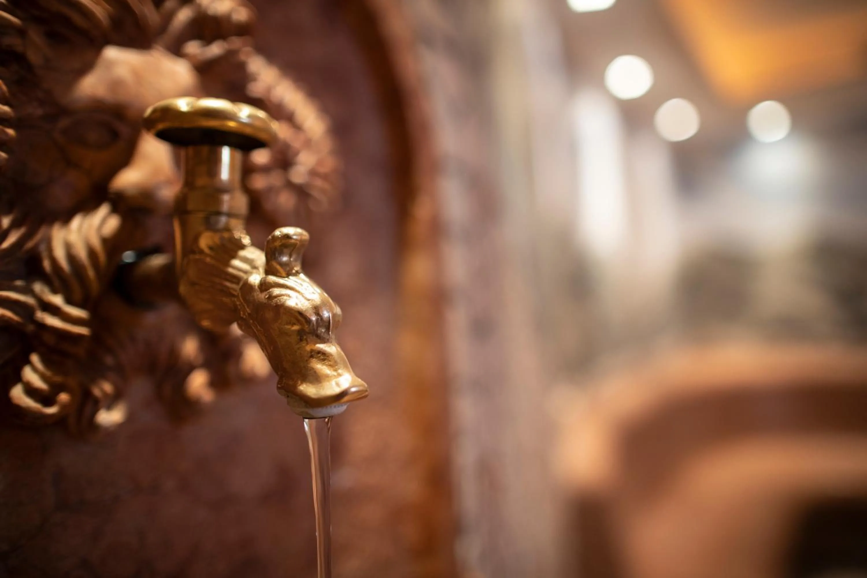 Decorative detail in LAUDEGGHOF Ladis