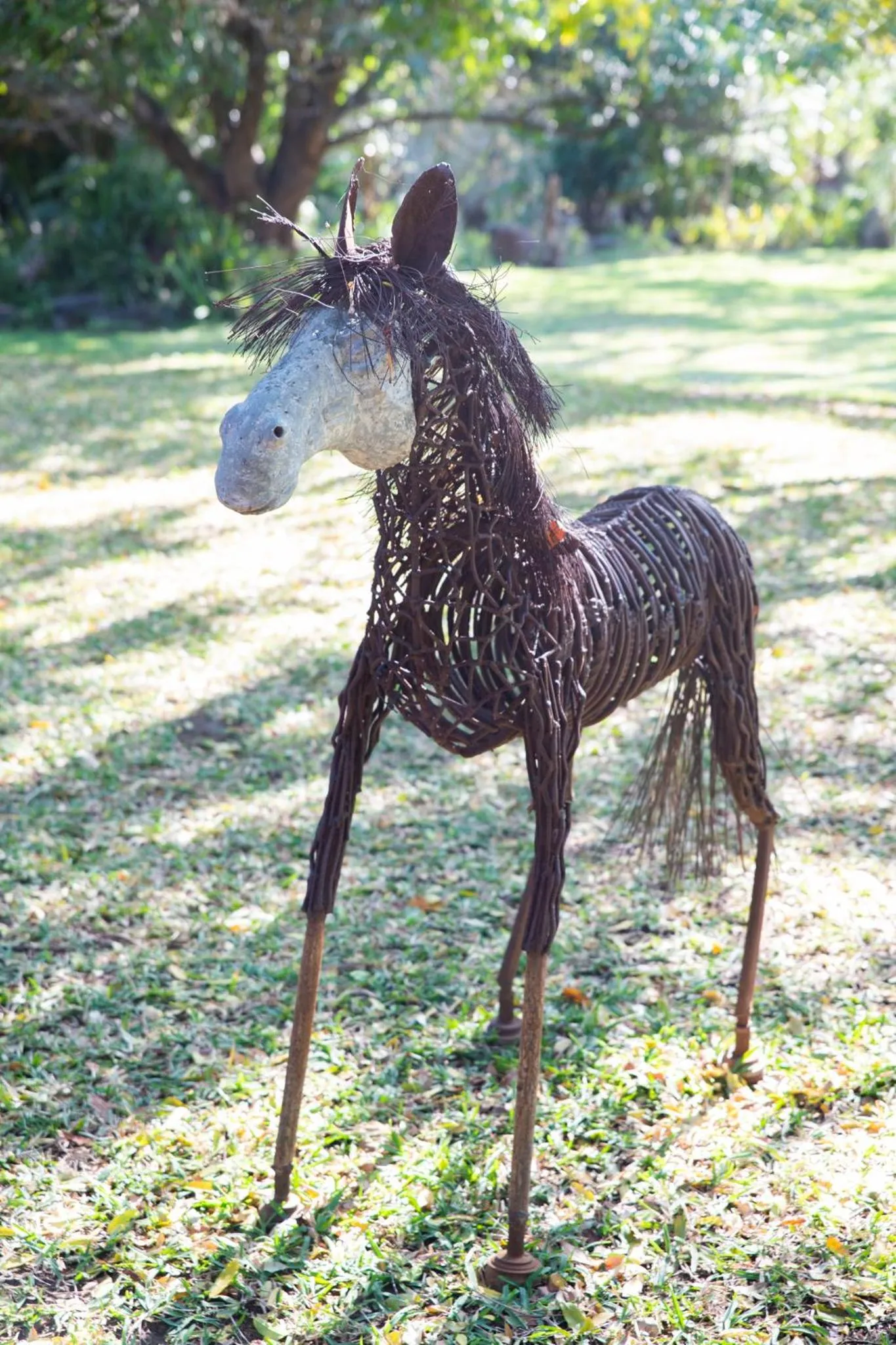 Garden in Blyde River Canyon Lodge