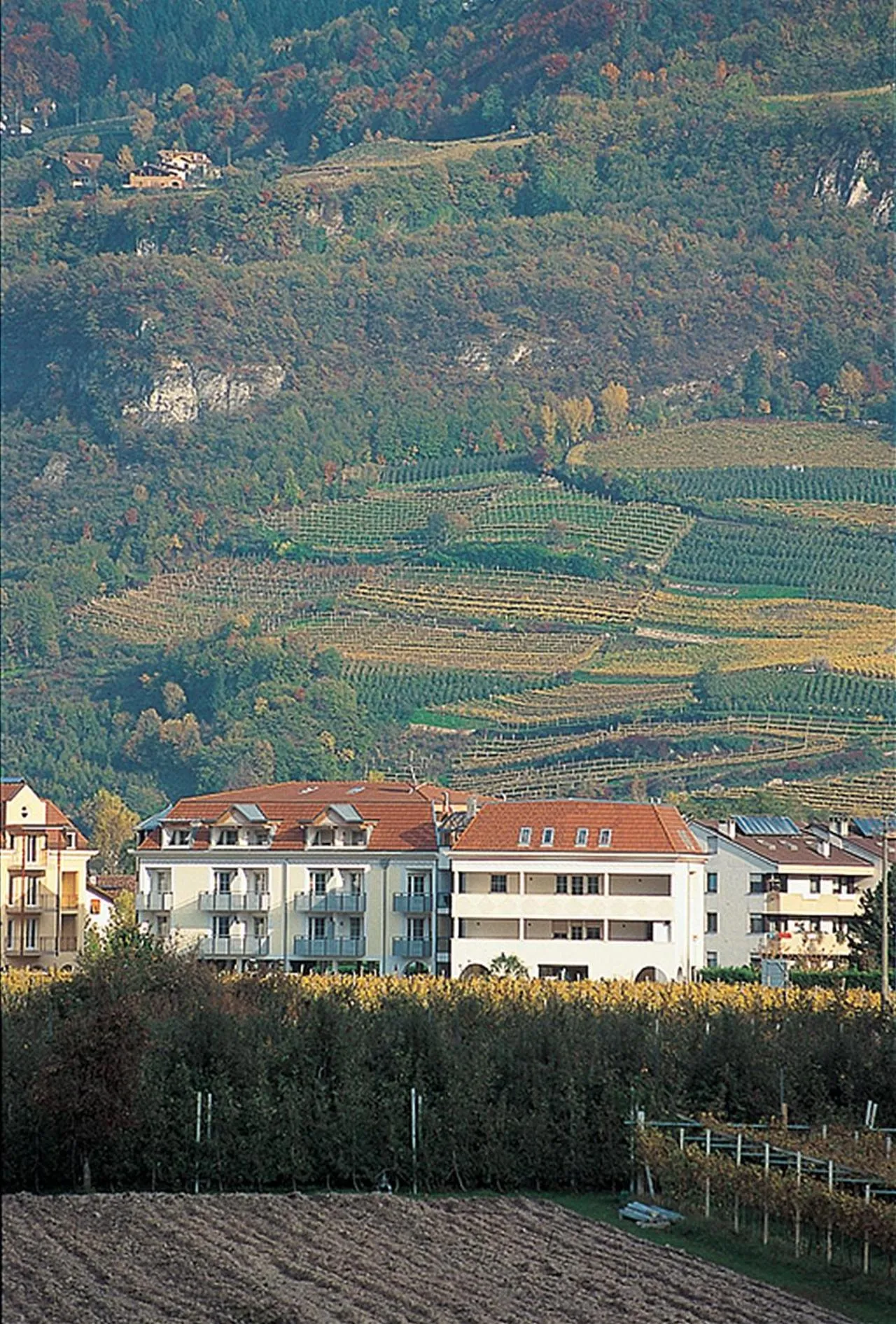 Property building in Hotel Comfort Erica Dolomiti Val d'Adige