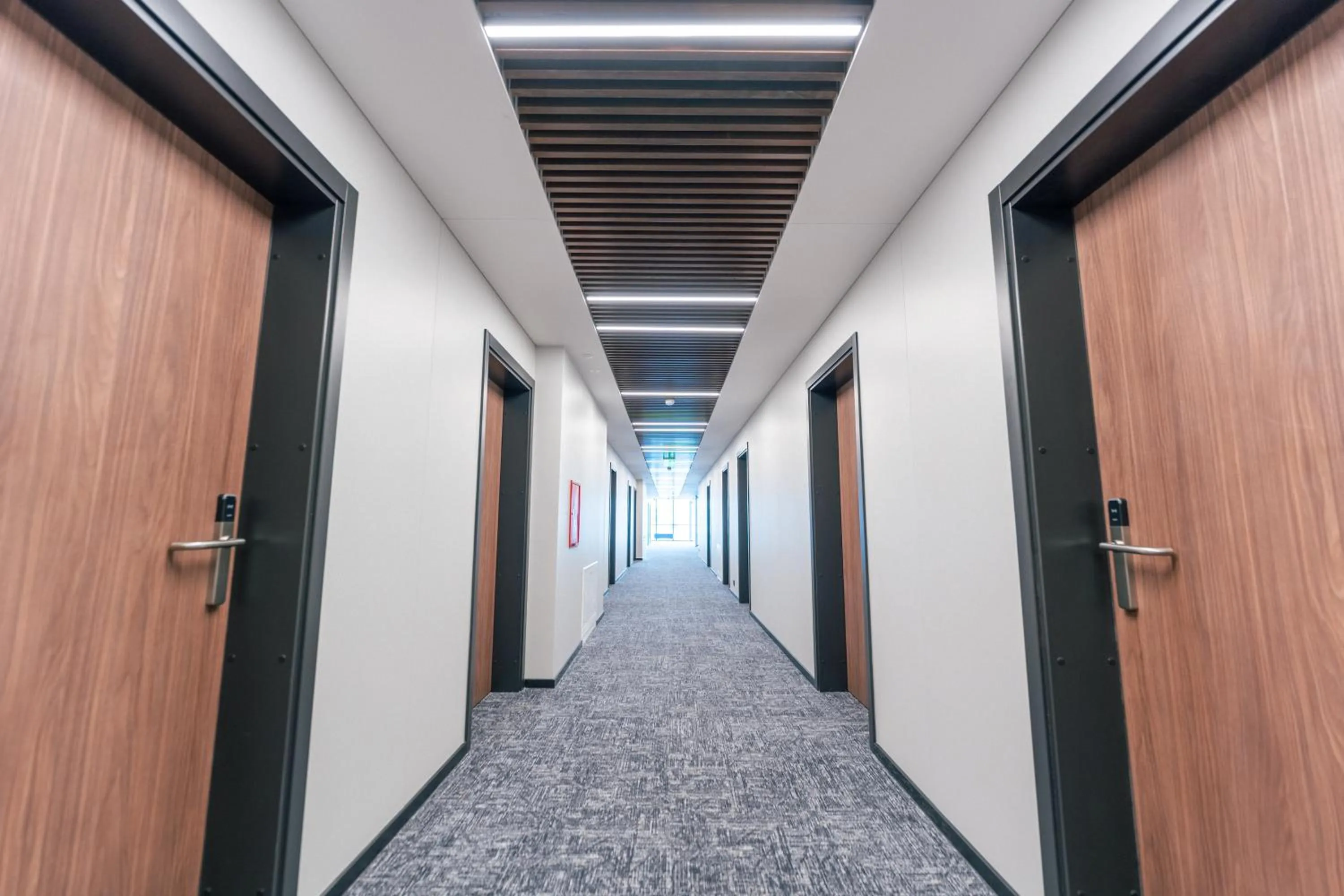 Area and facilities in Pan Tadeusz