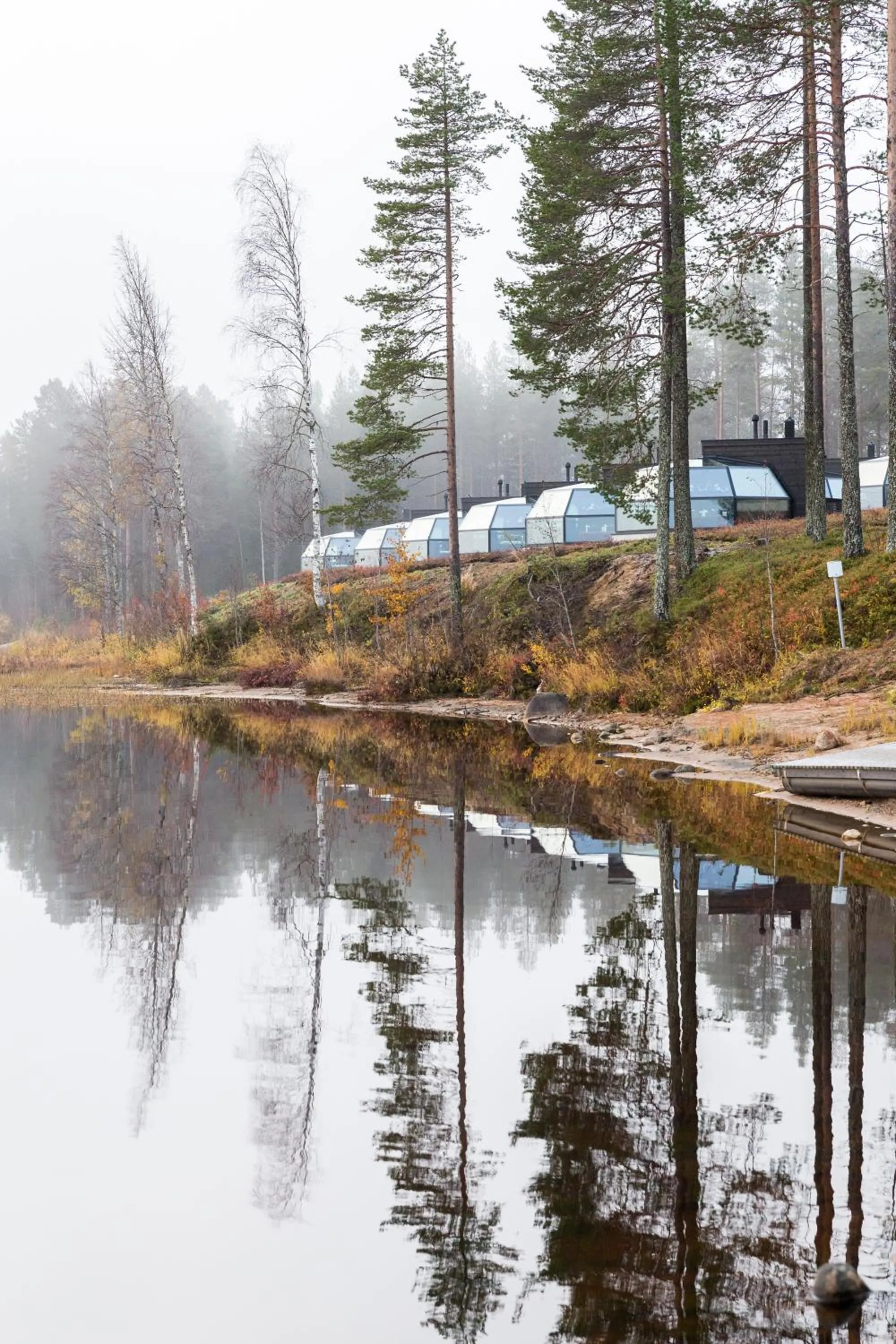View (from property/room) in Ranua Resort Arctic Igloos
