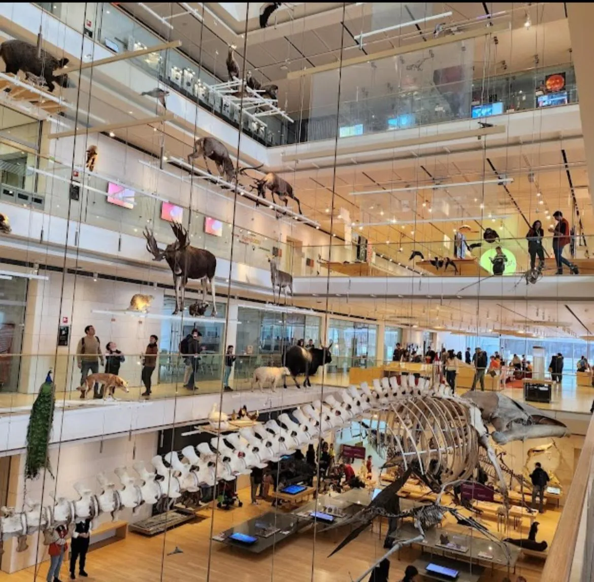 Casa Rosmini rooms, Dolomia best home