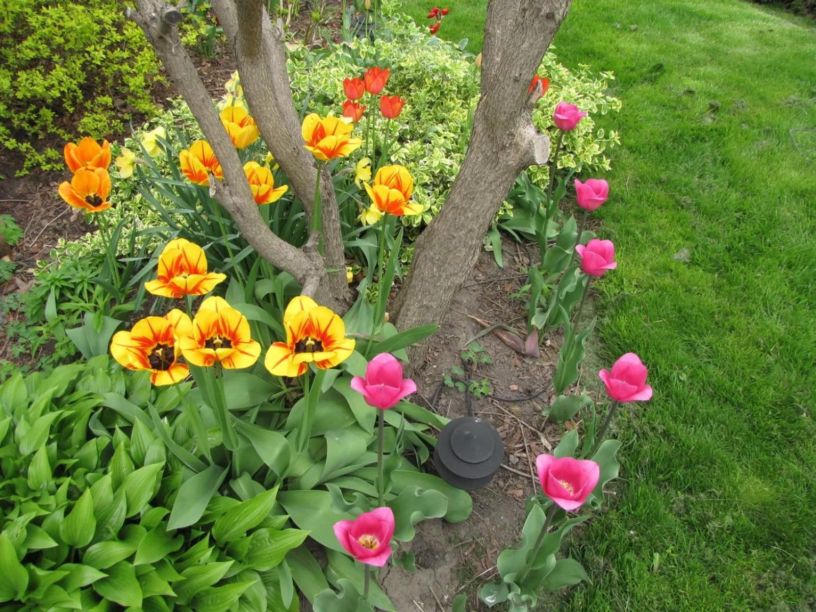 Garden in Strathaird Bed and Breakfast