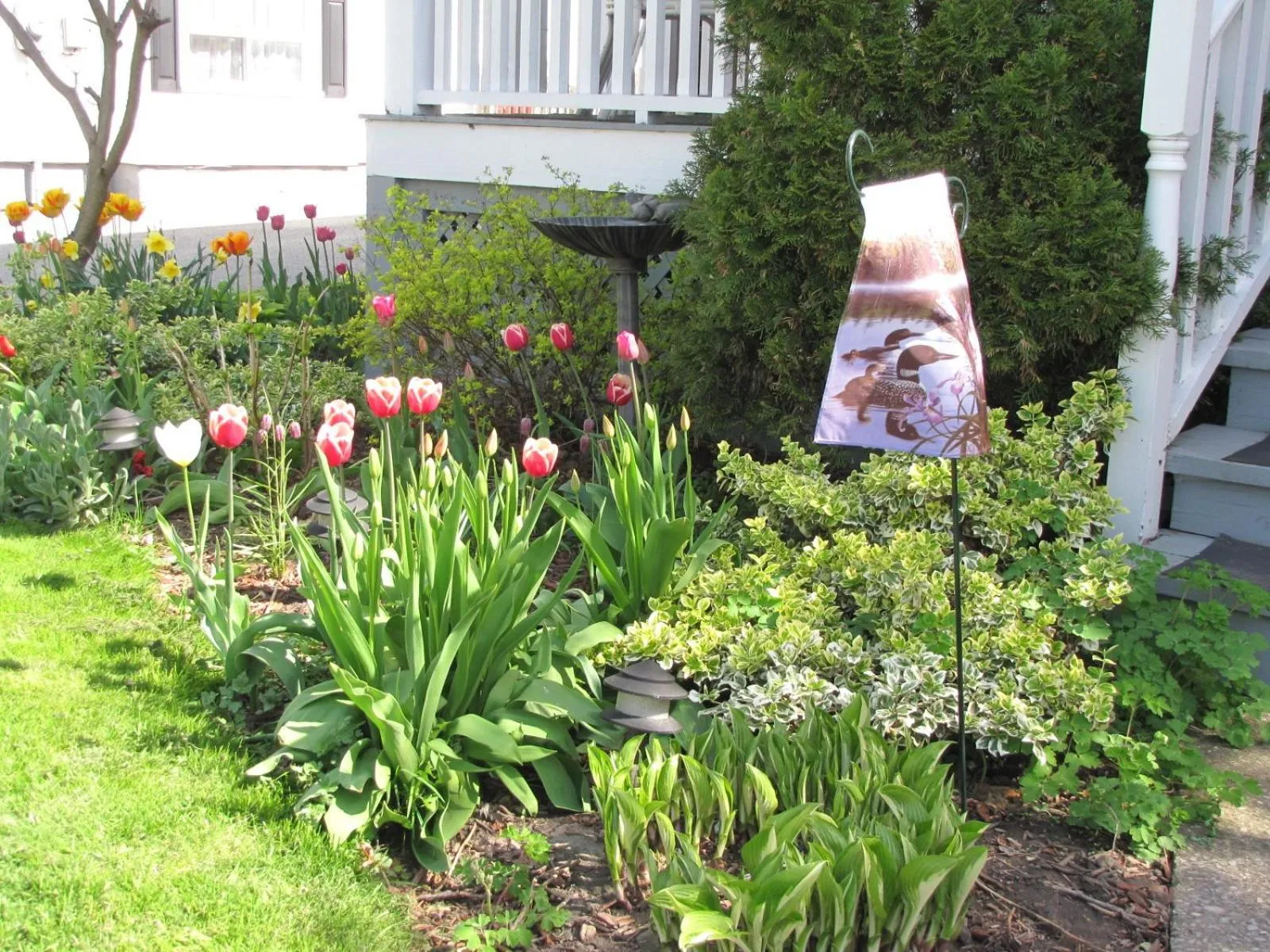 Property logo or sign in Strathaird Bed and Breakfast