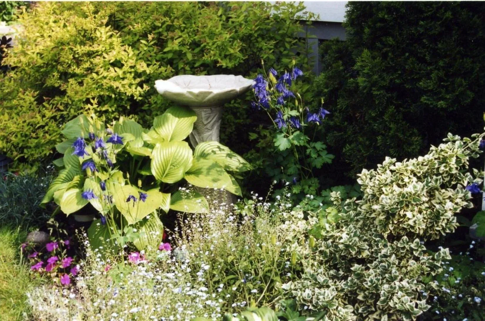 Patio in Strathaird Bed and Breakfast
