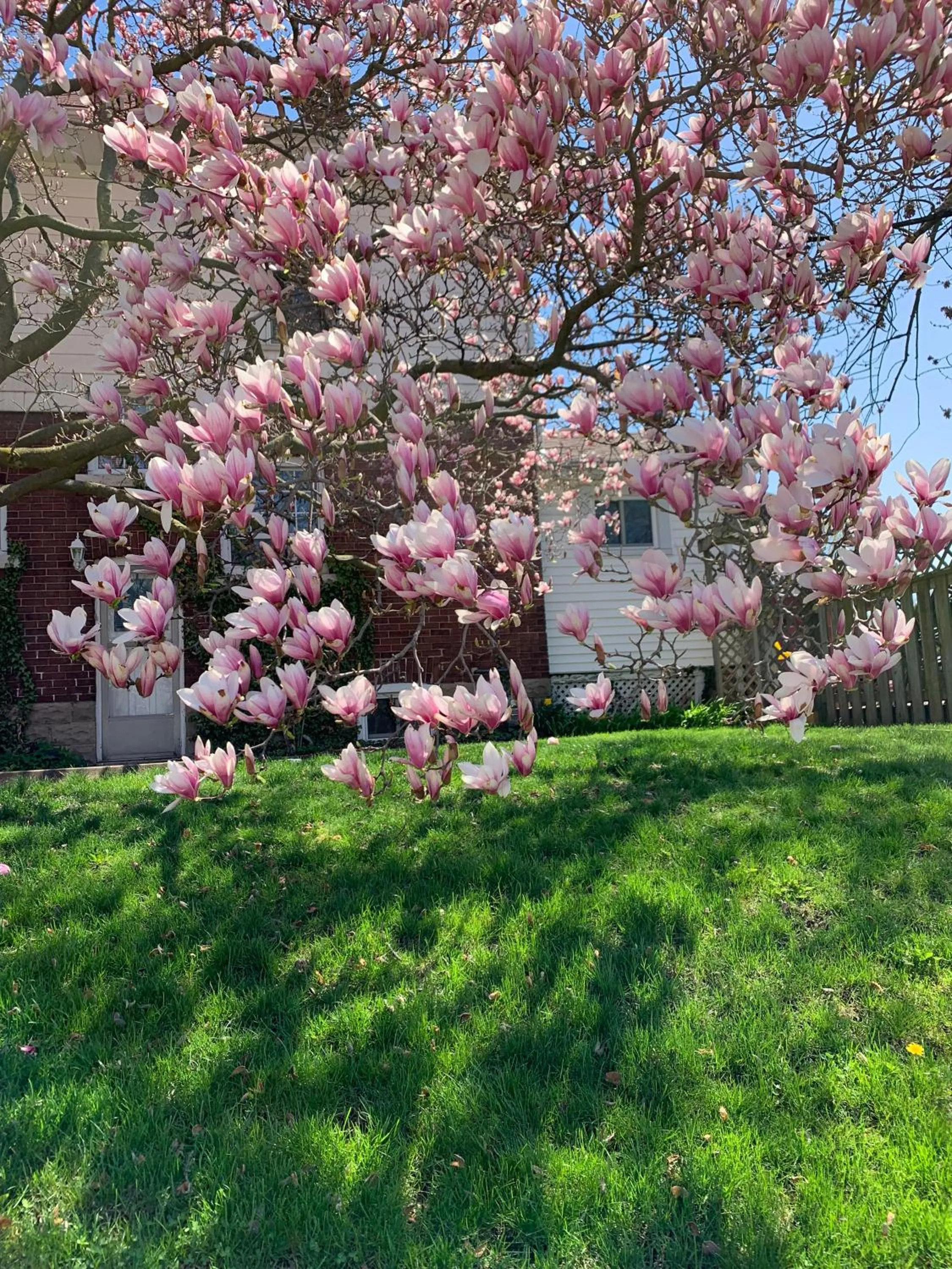 Natural landscape in Strathaird Bed and Breakfast