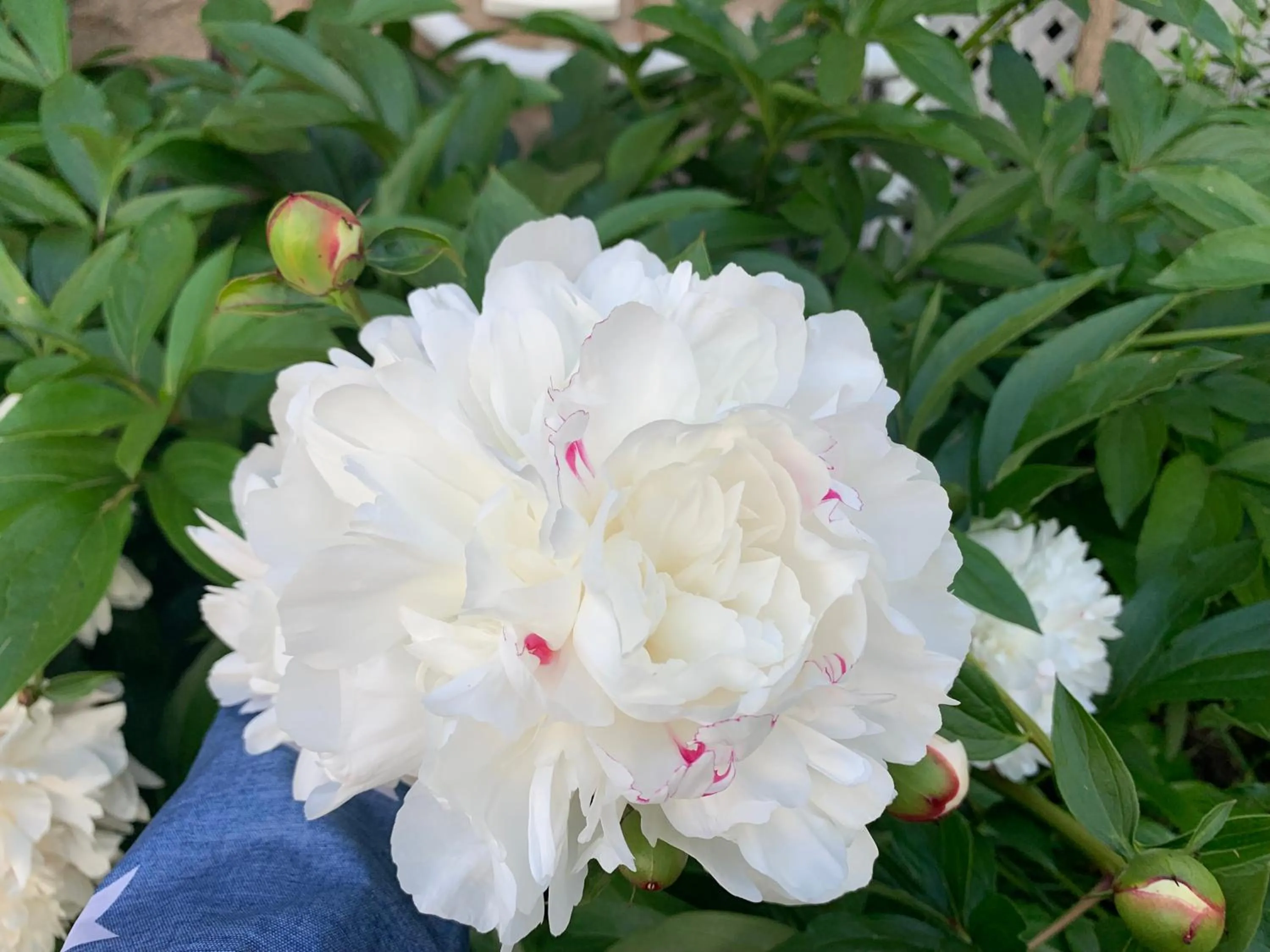 Spring in Strathaird Bed and Breakfast