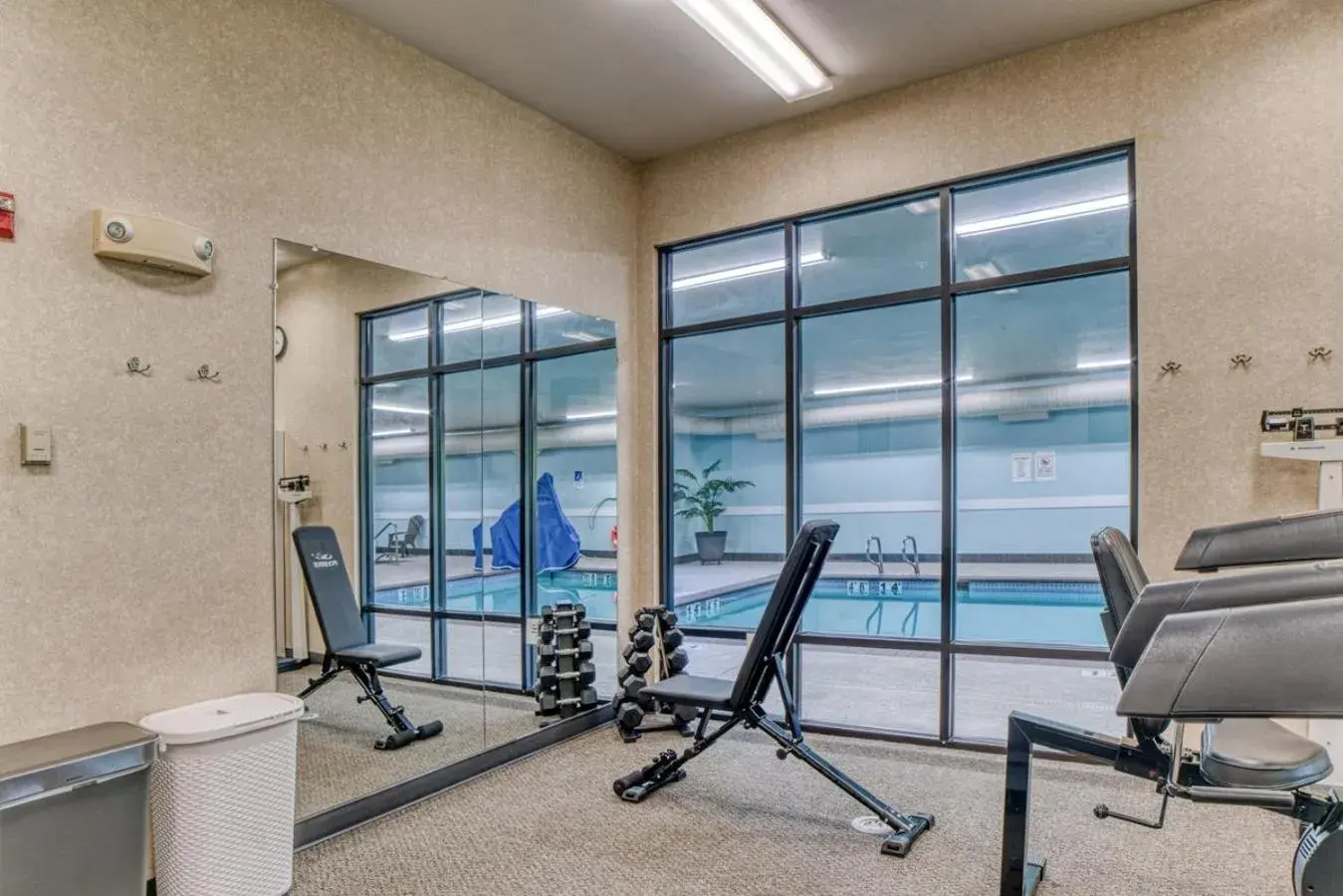 Fitness centre/facilities in Evergreen Inn & Suites Fitness centre/facilities in Evergreen Inn & Suites