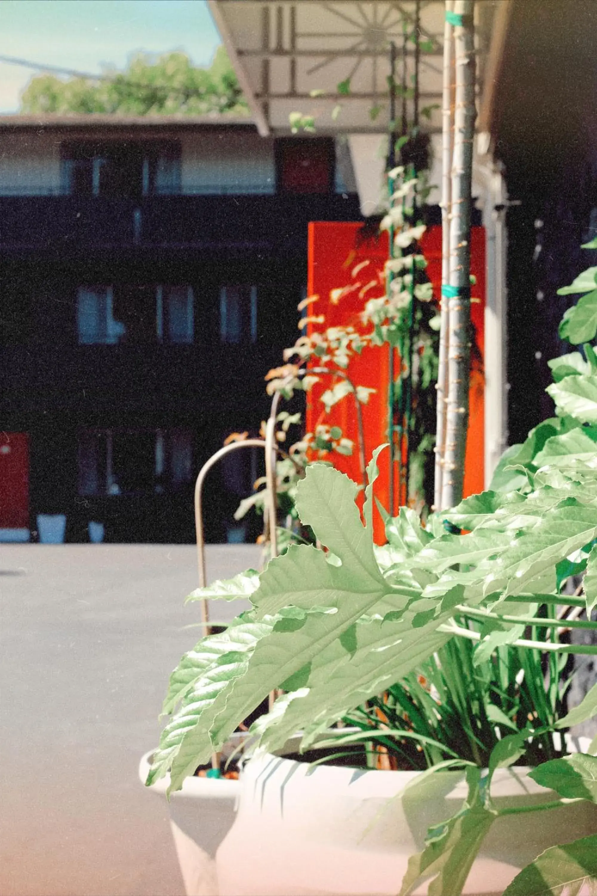 Property building in Hotel Corvallis Property building in Hotel Corvallis