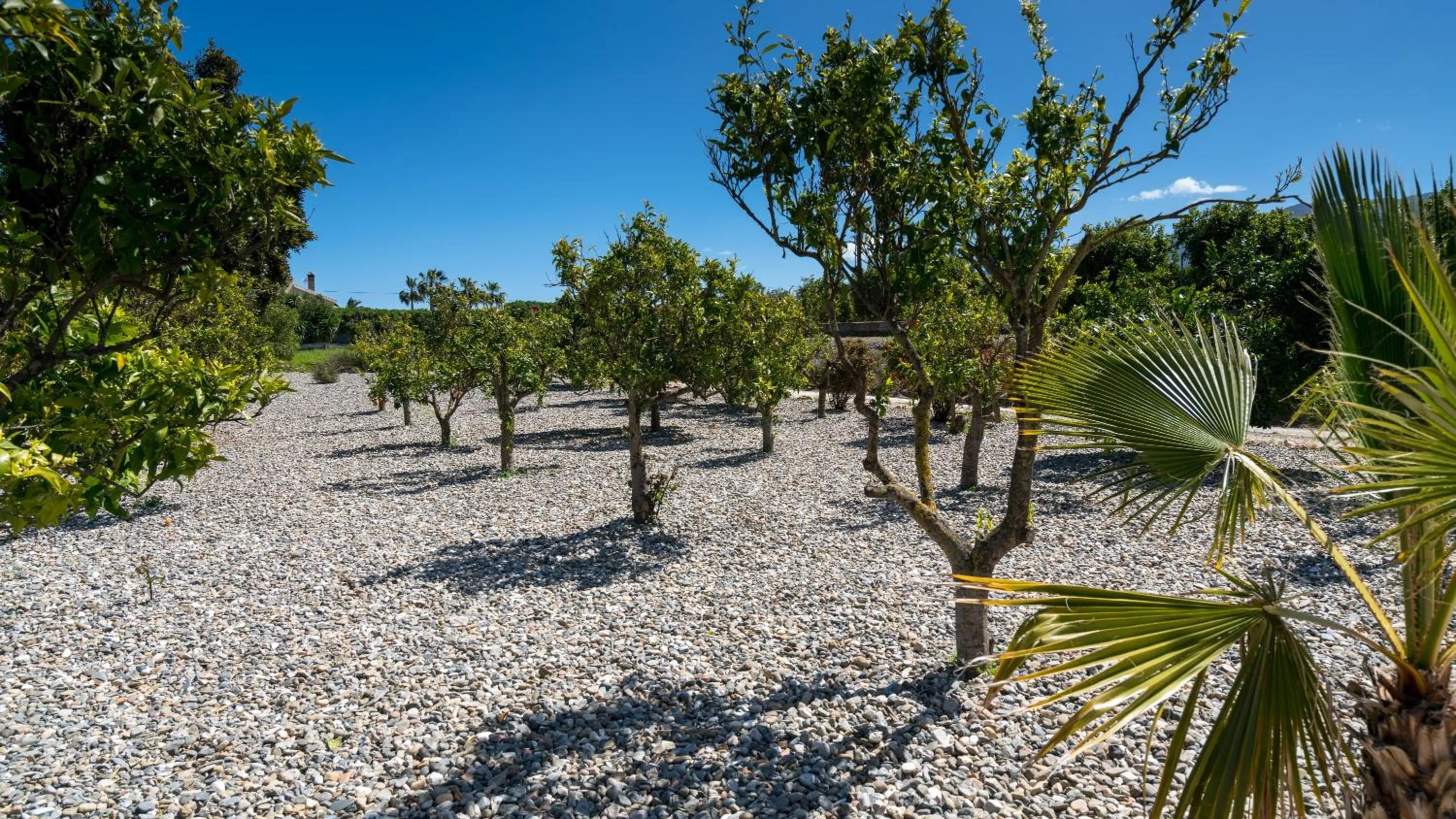 Garden in Casa Baliza, adults only