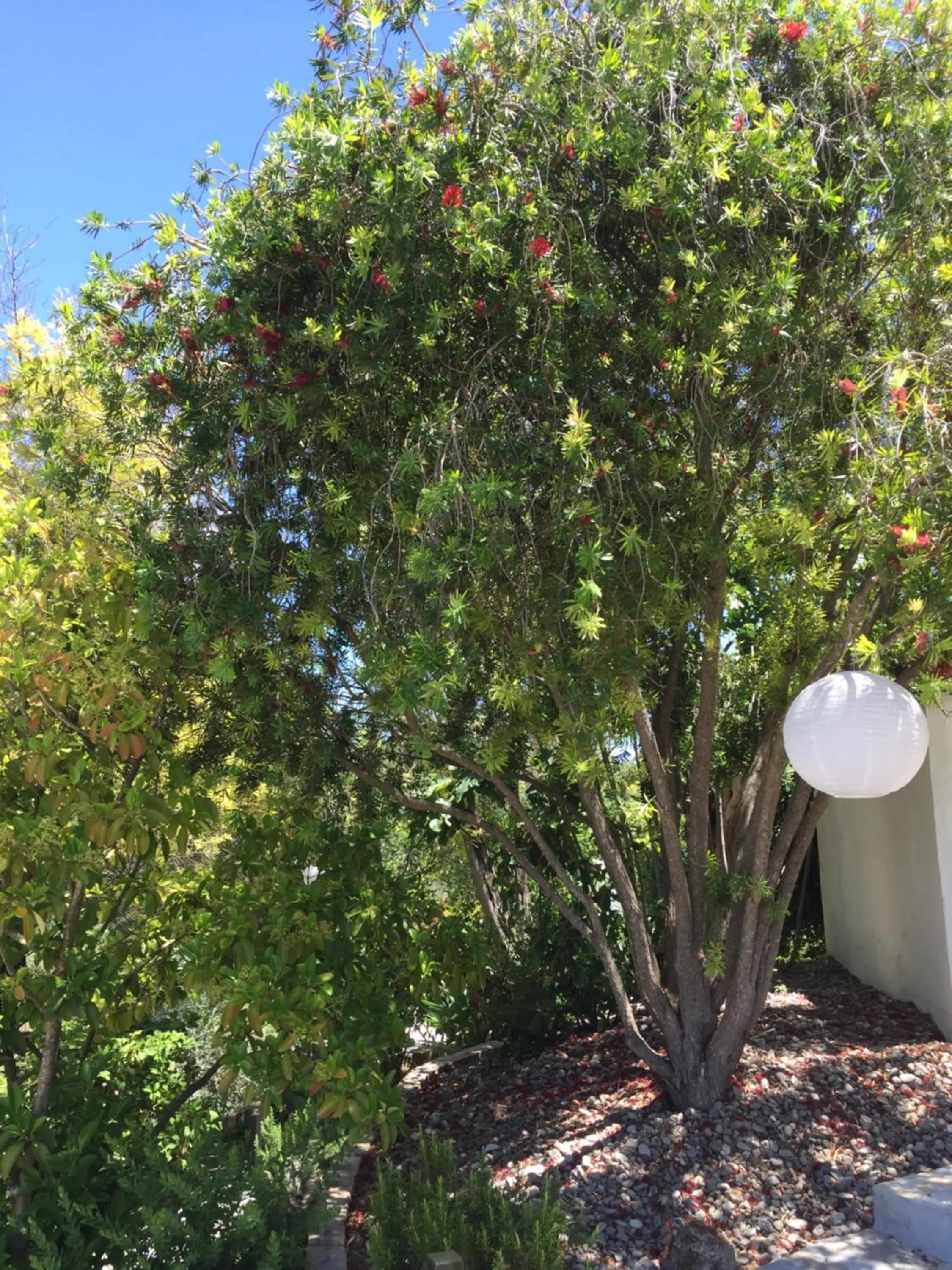 Garden in Casa Baliza, adults only