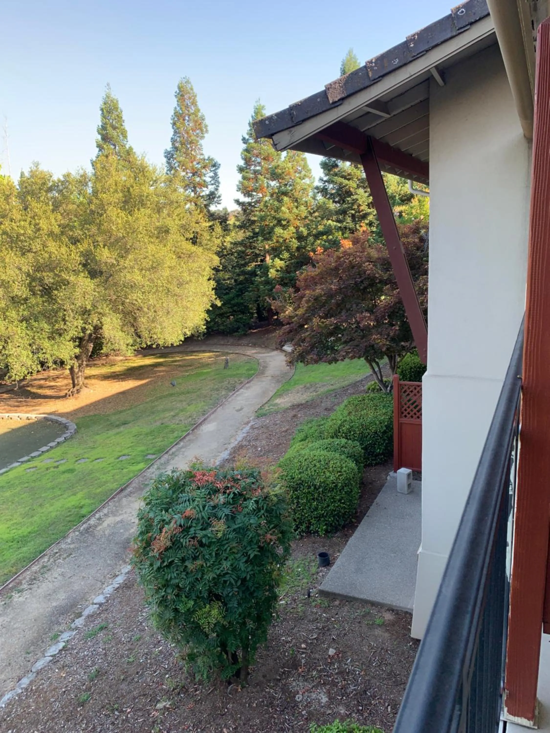 View (from property/room) in Rocklin Park Hotel, Trademark Collection by Wyndham