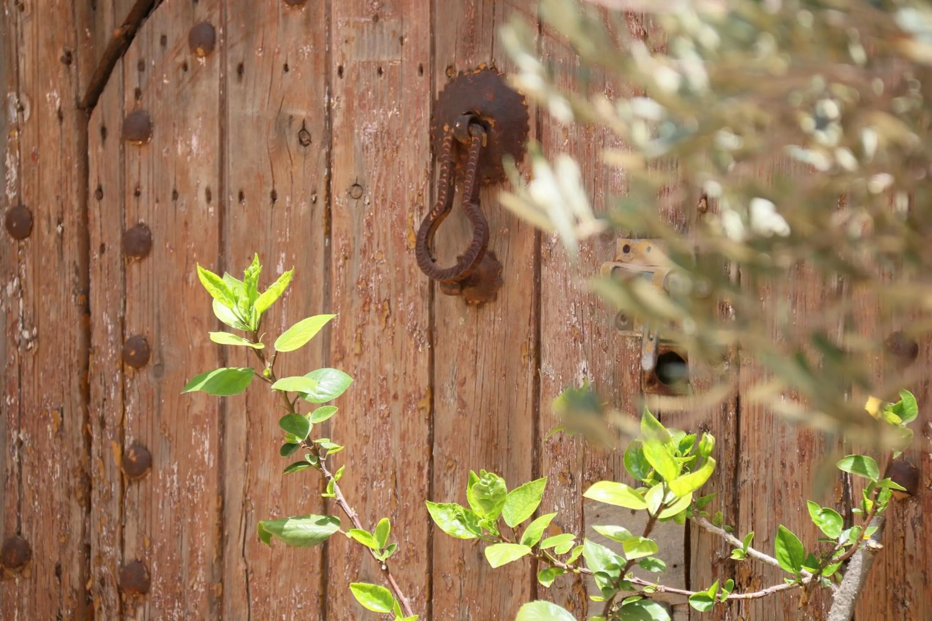Decorative detail in Riad L'Emir