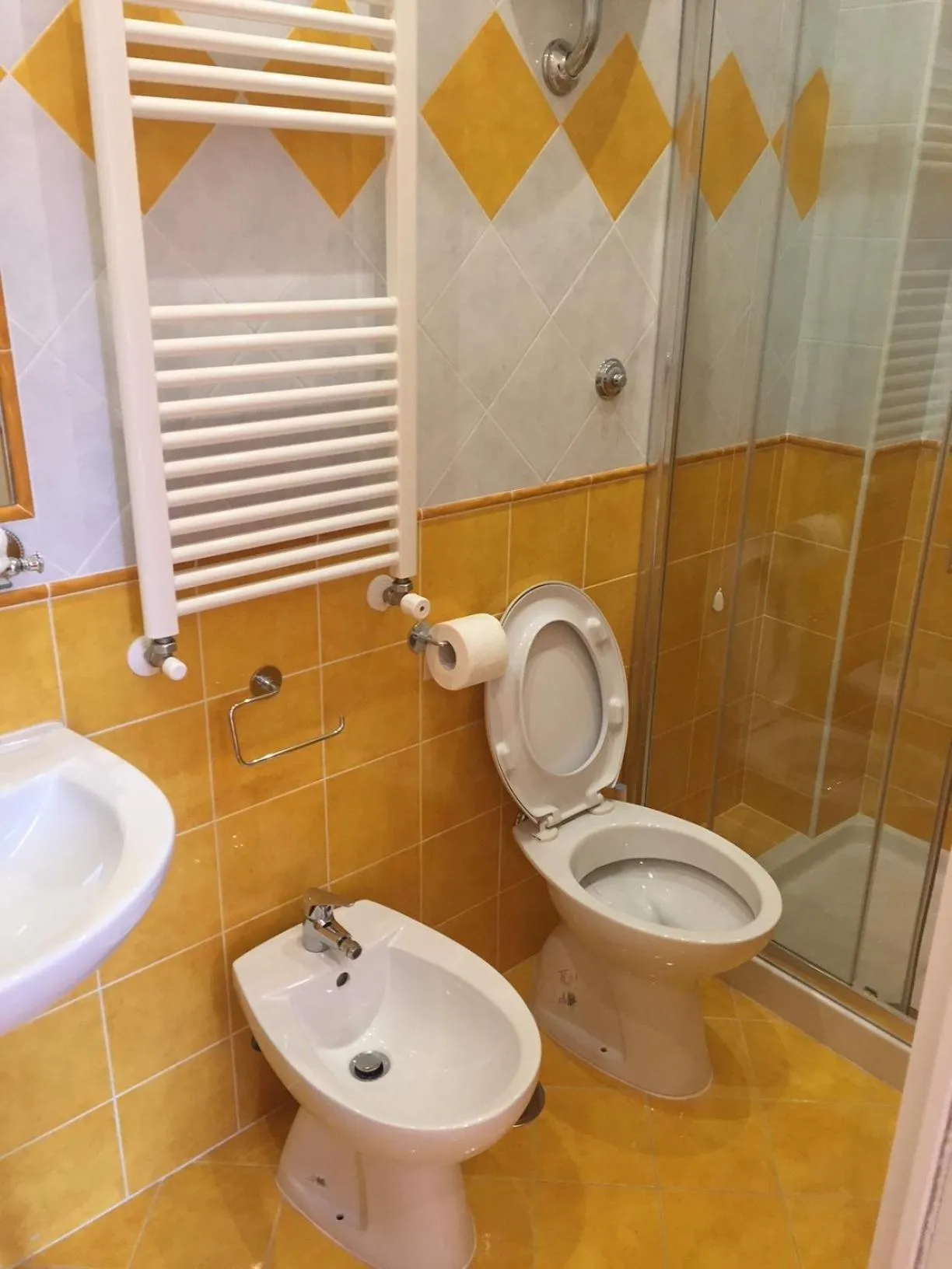 Toilet in Albergo Oasi