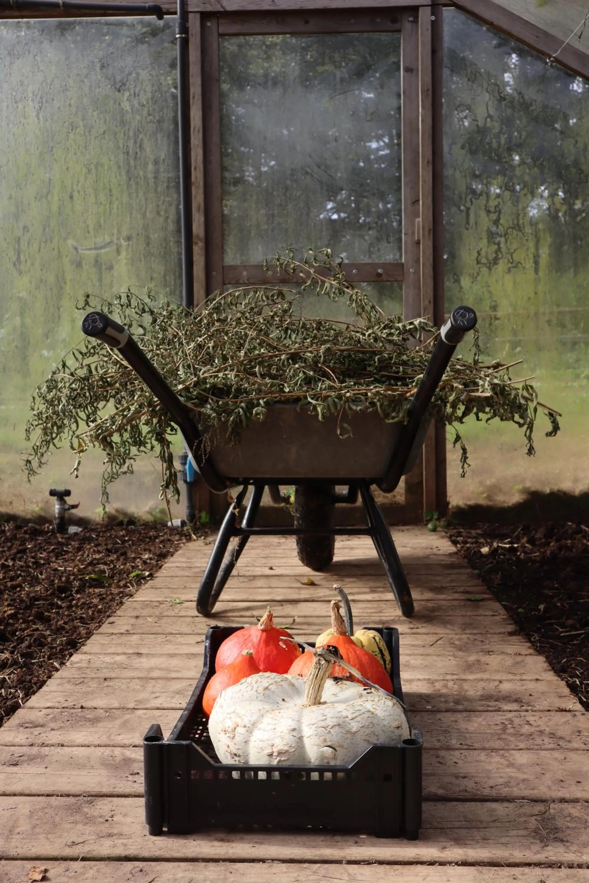 Restaurant/places to eat in Le Barn