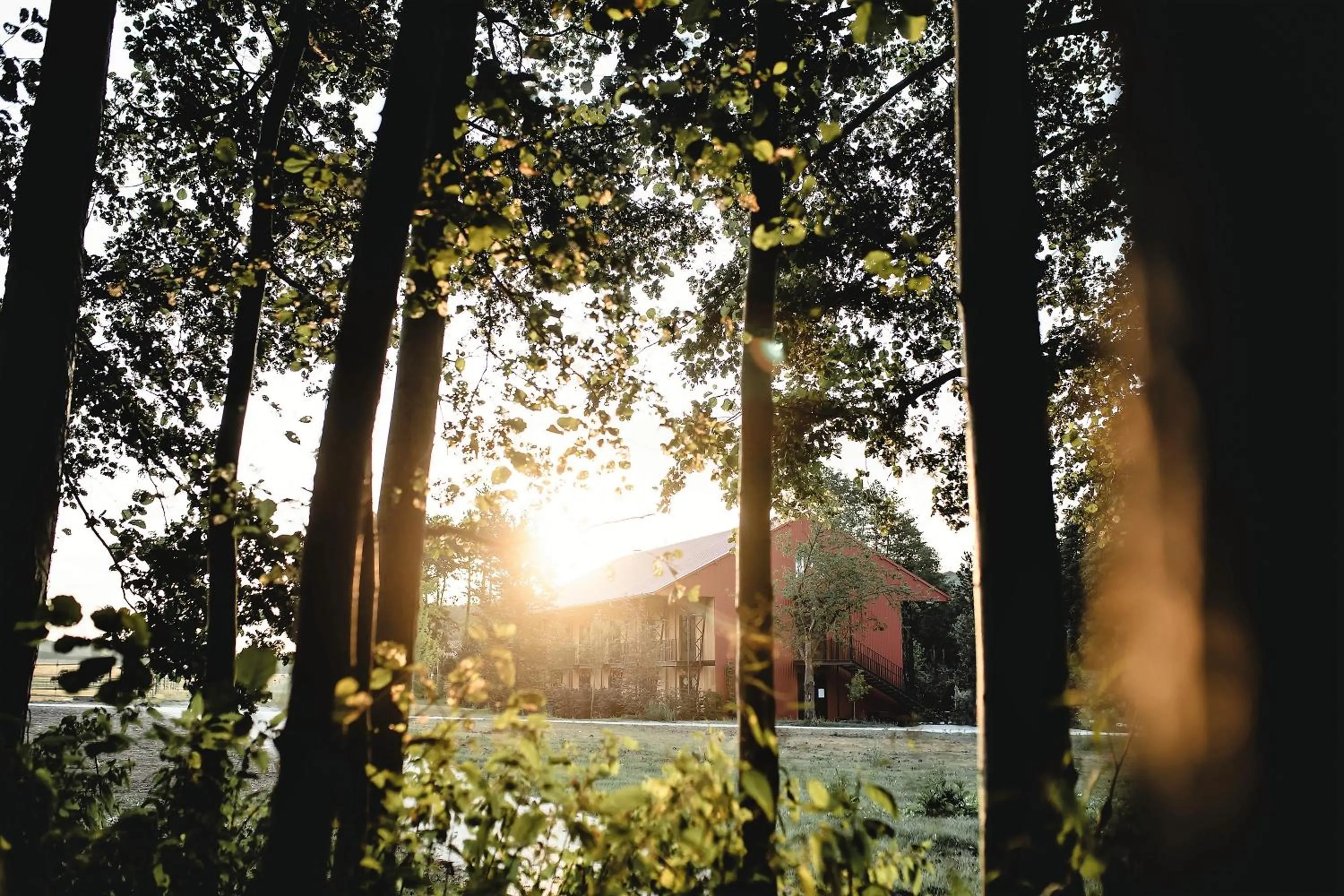 Natural landscape in Le Barn