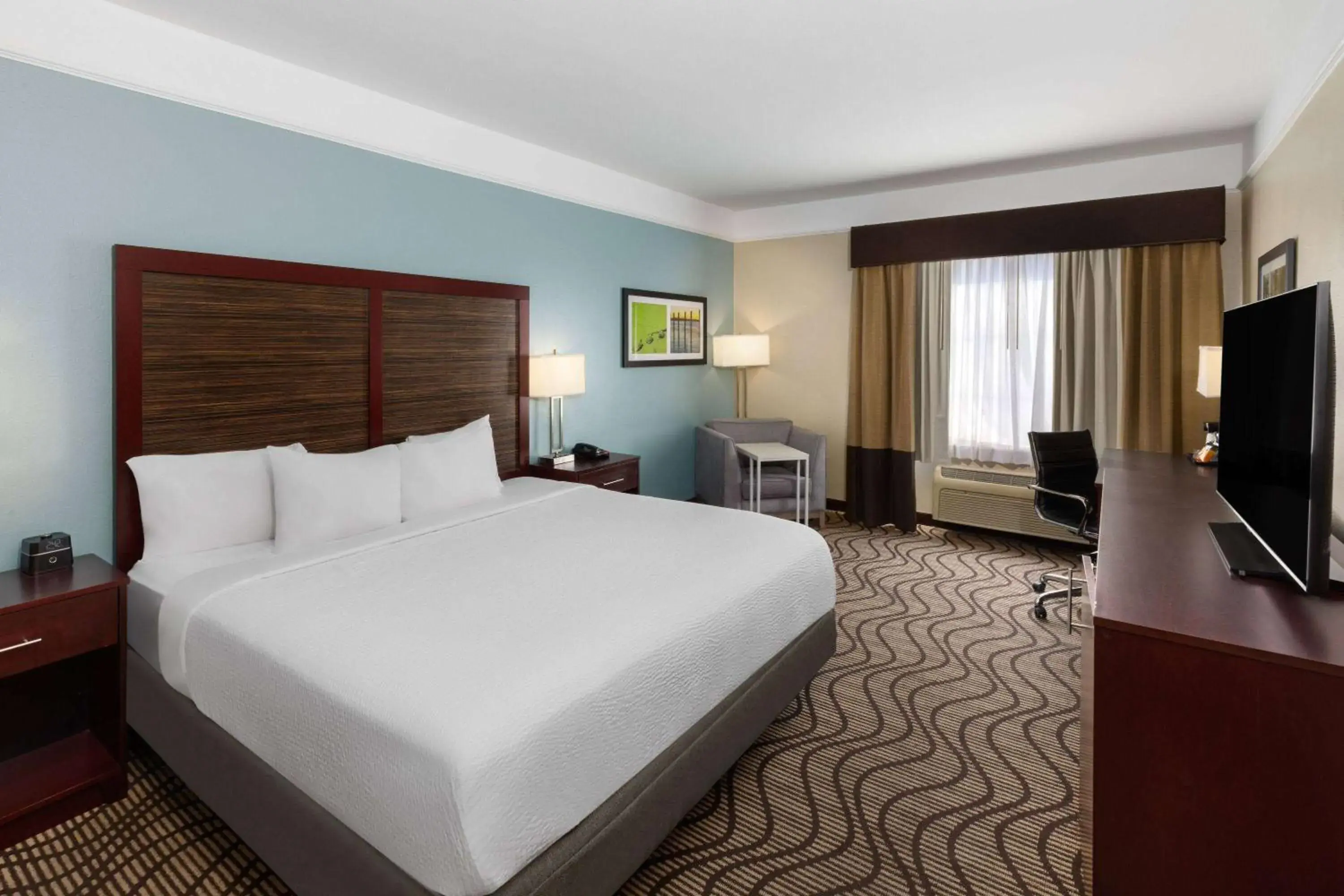 King Room in La Quinta by Wyndham Houma King Room in La Quinta by Wyndham Houma