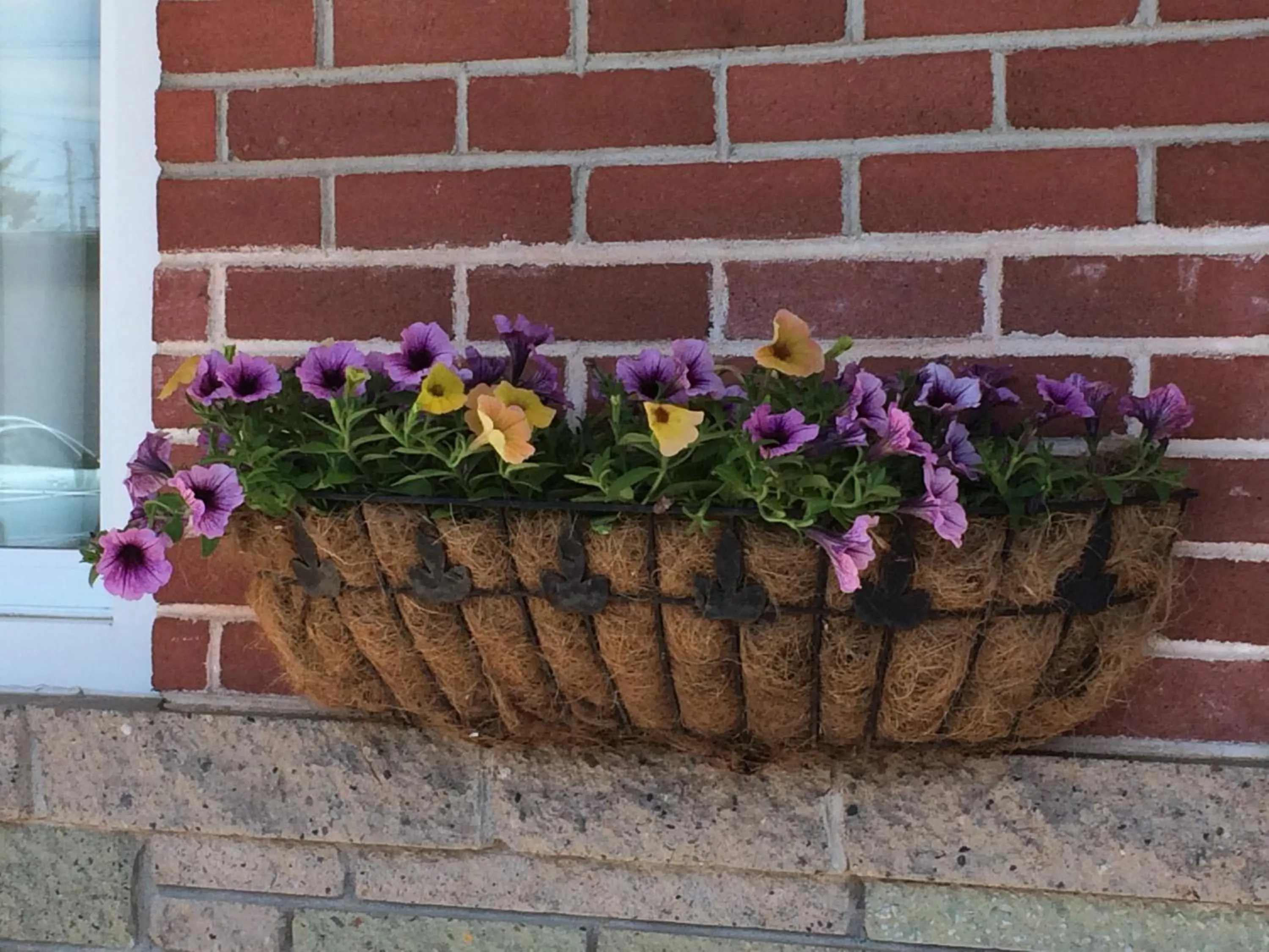 Decorative detail in Trunk Road Motel