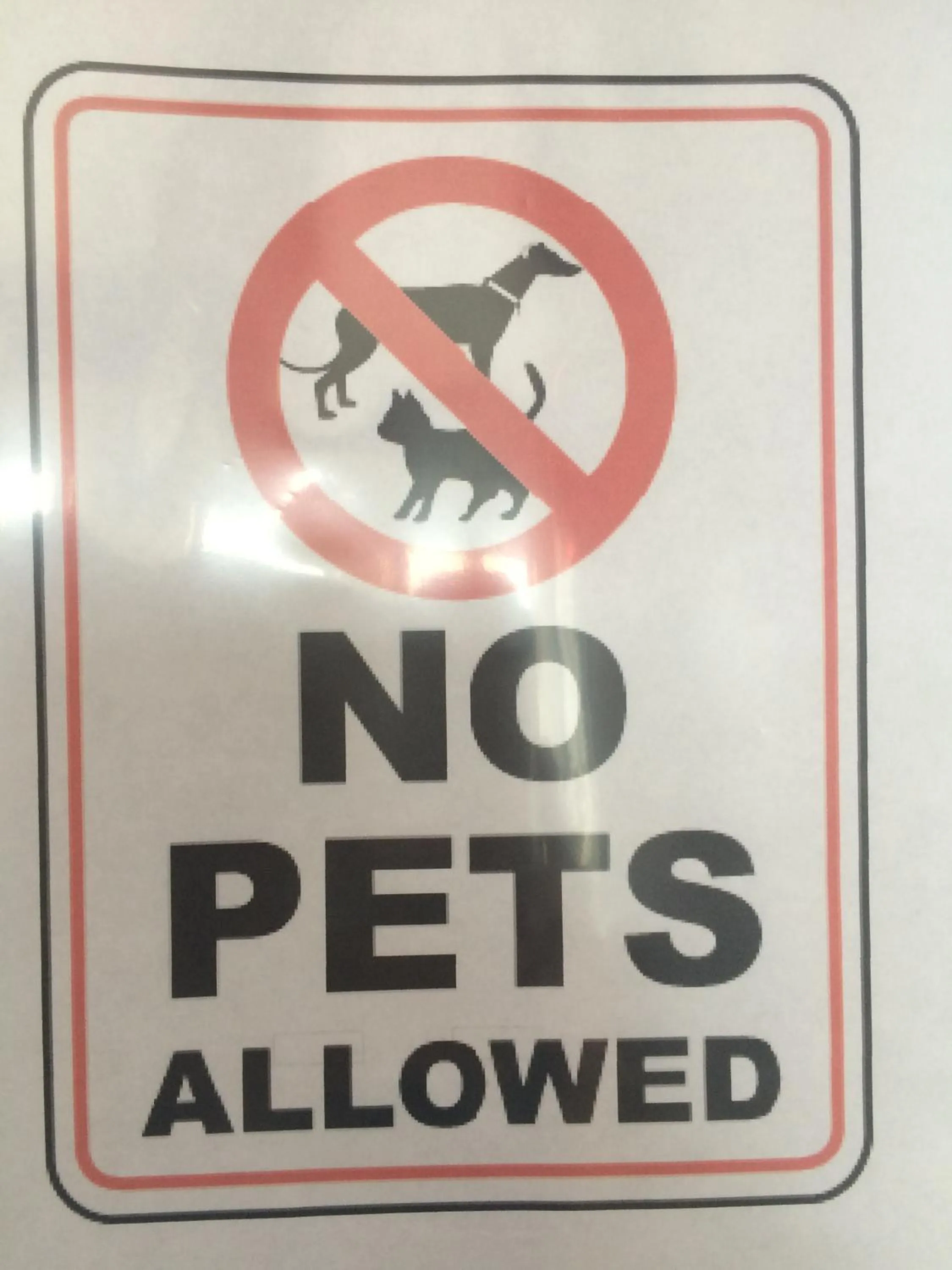 Pets in Trunk Road Motel