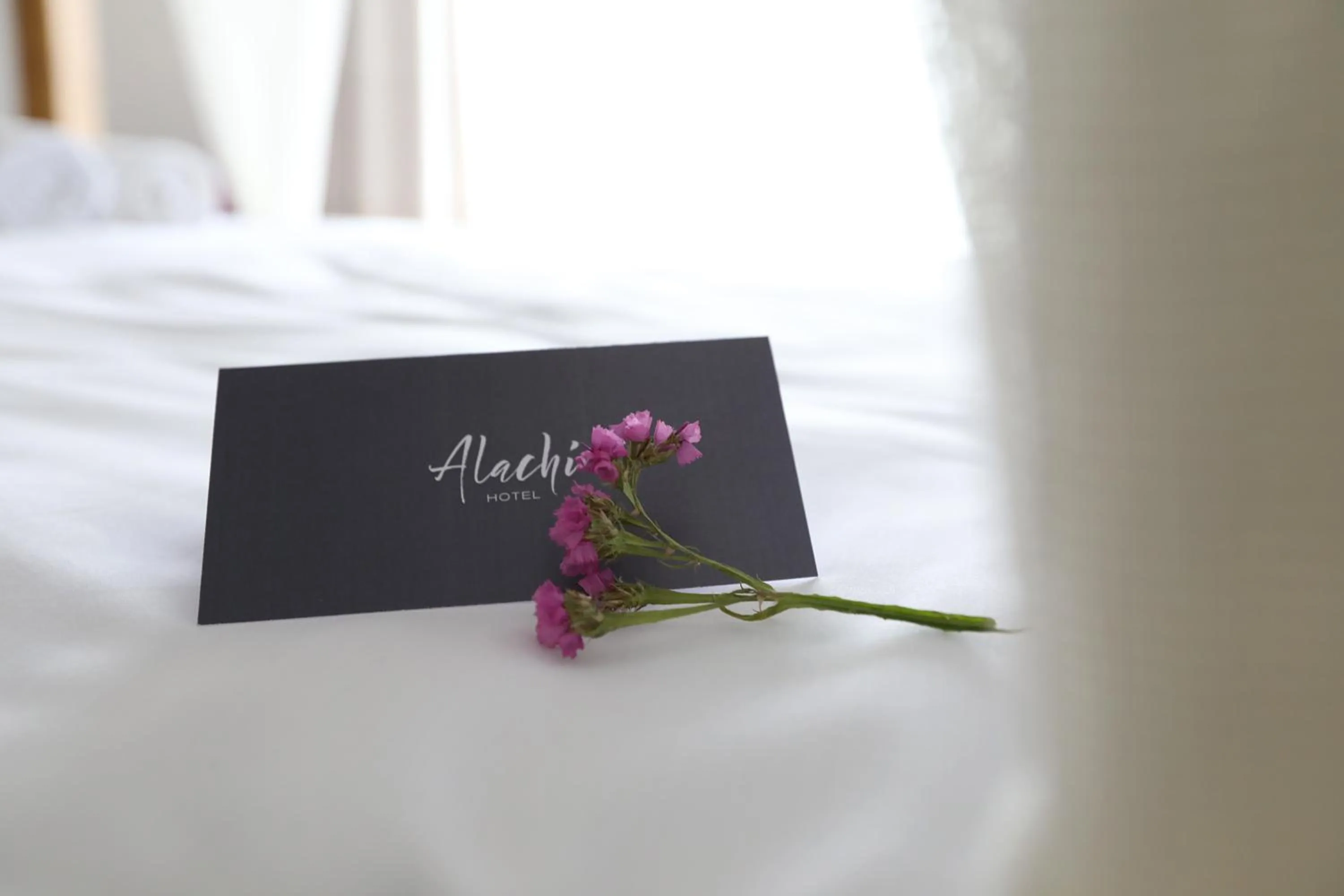 Decorative detail, Bed in Alachi Hotel
