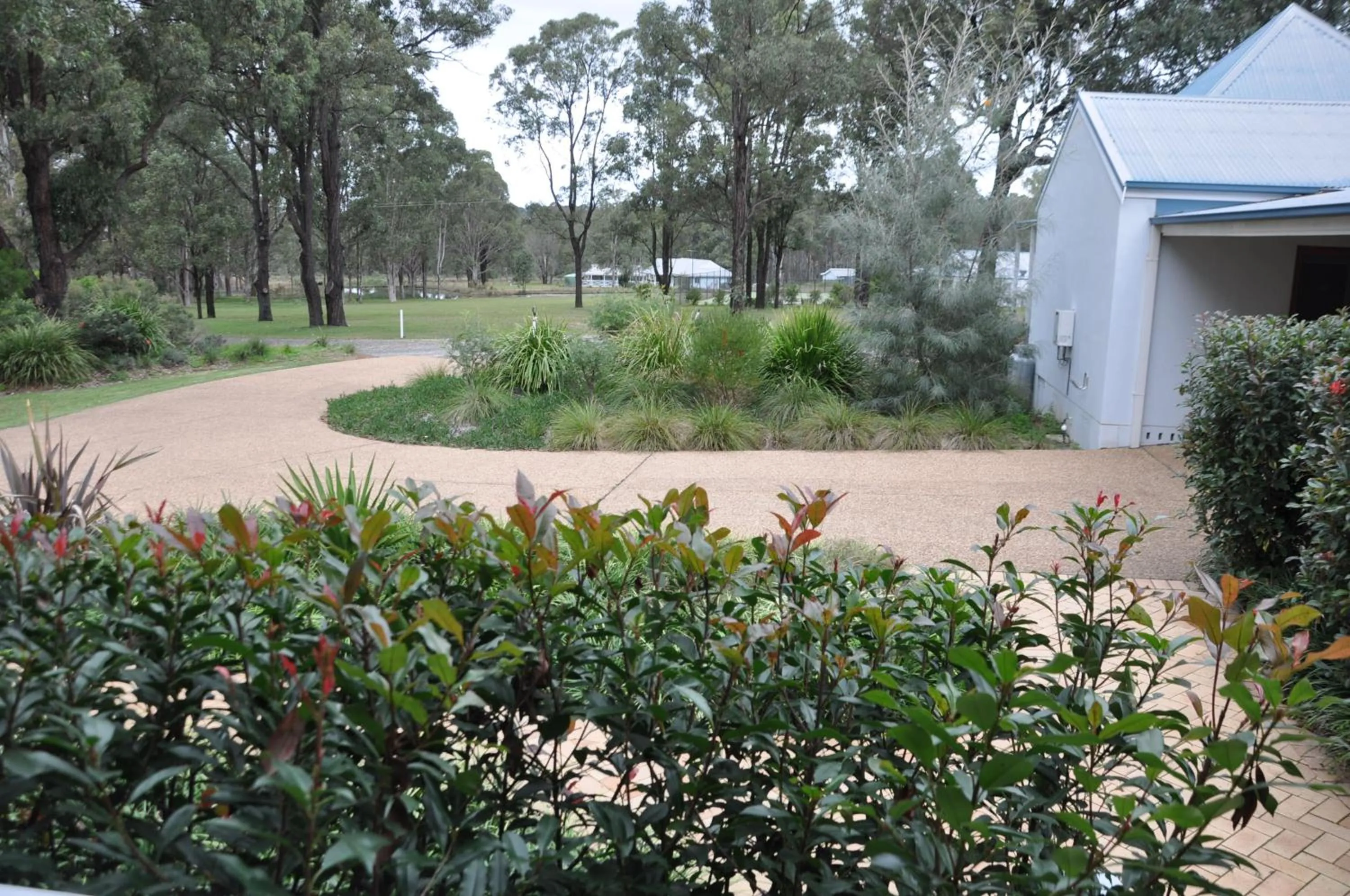 Natural landscape in Pokolbin Village Estate