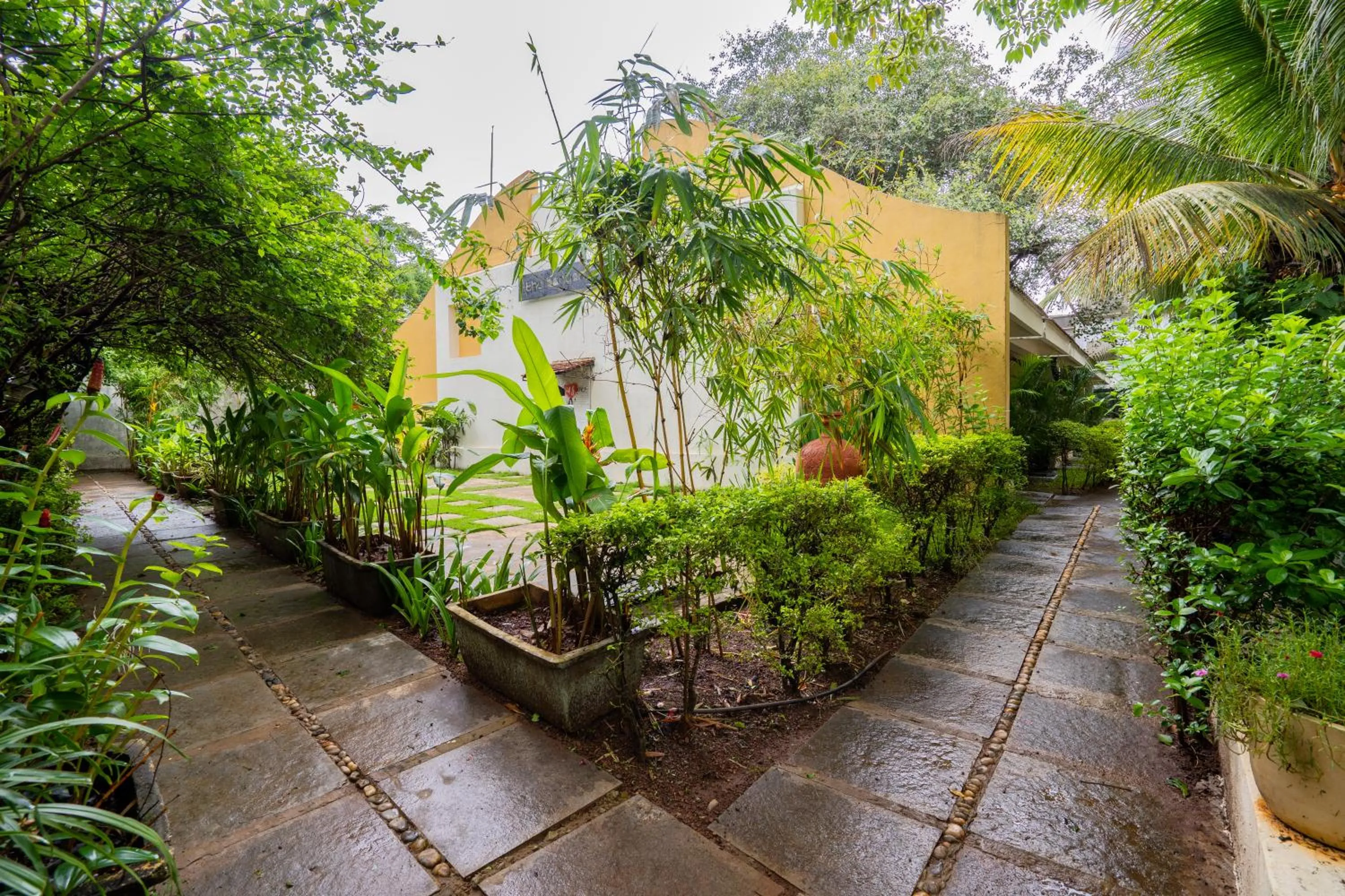 Garden view in The Banyan Soul