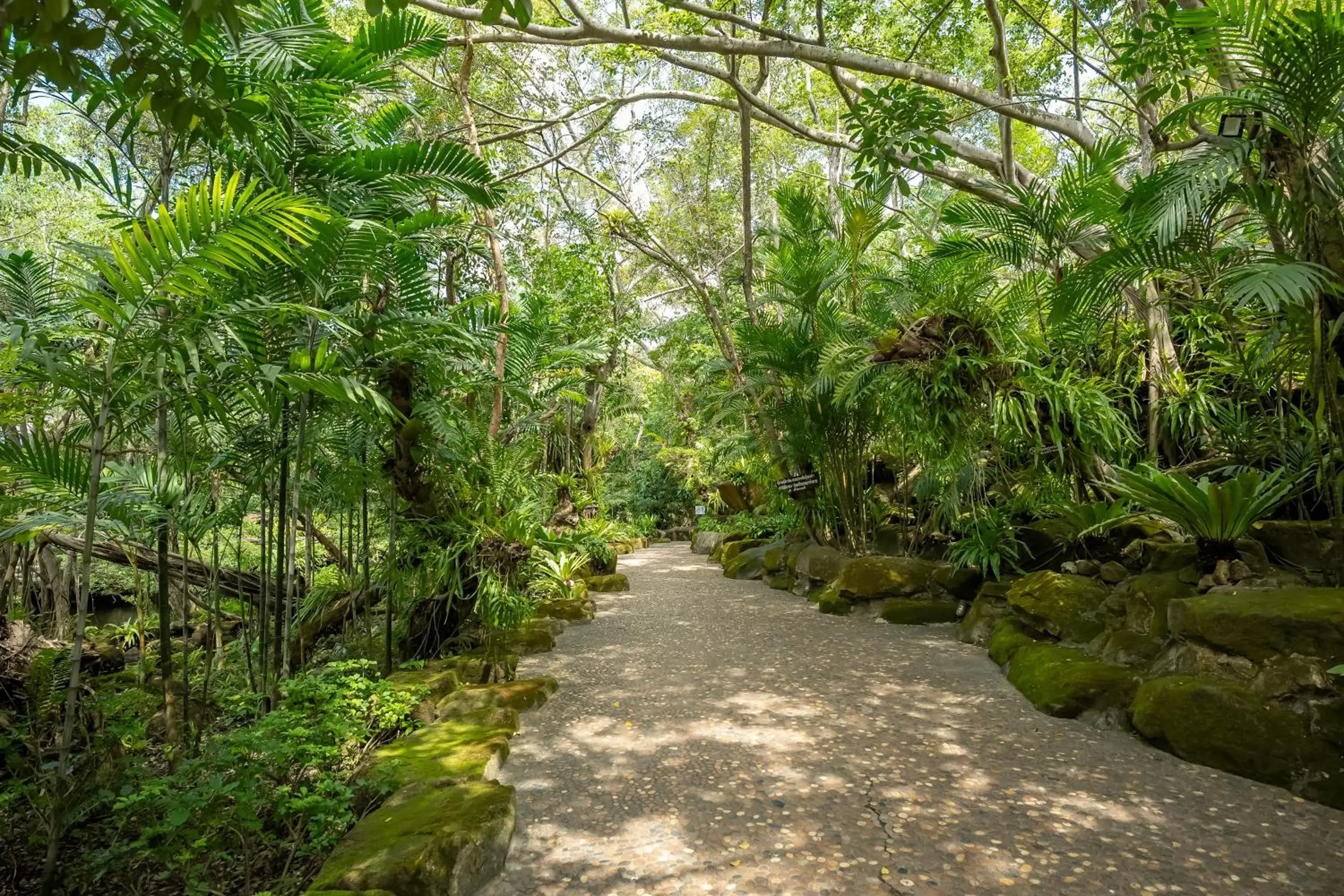 Restaurant/places to eat in Tamnanpar Resort Restaurant/places to eat in Tamnanpar Resort