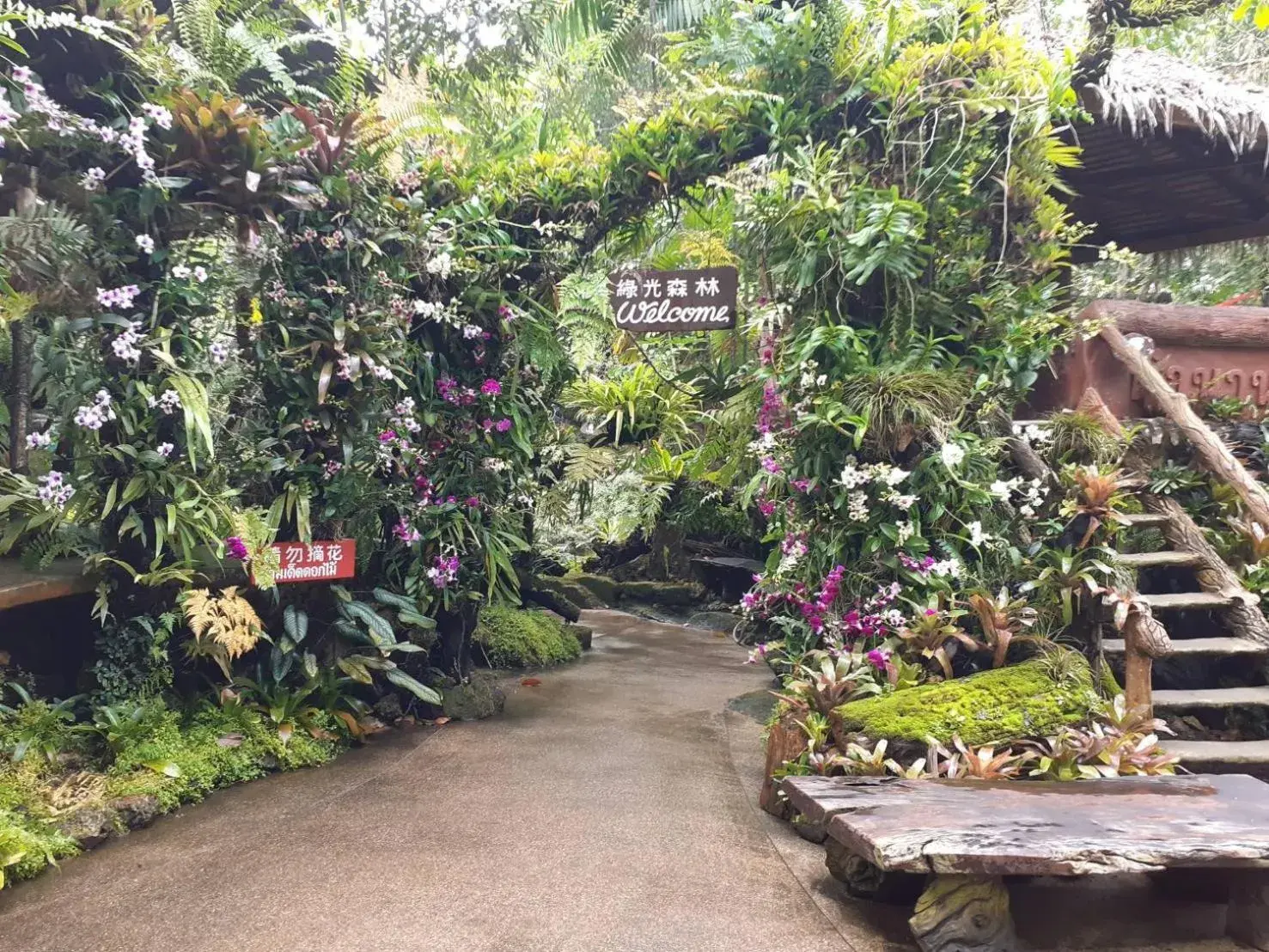 Restaurant/places to eat in Tamnanpar Resort Restaurant/places to eat in Tamnanpar Resort