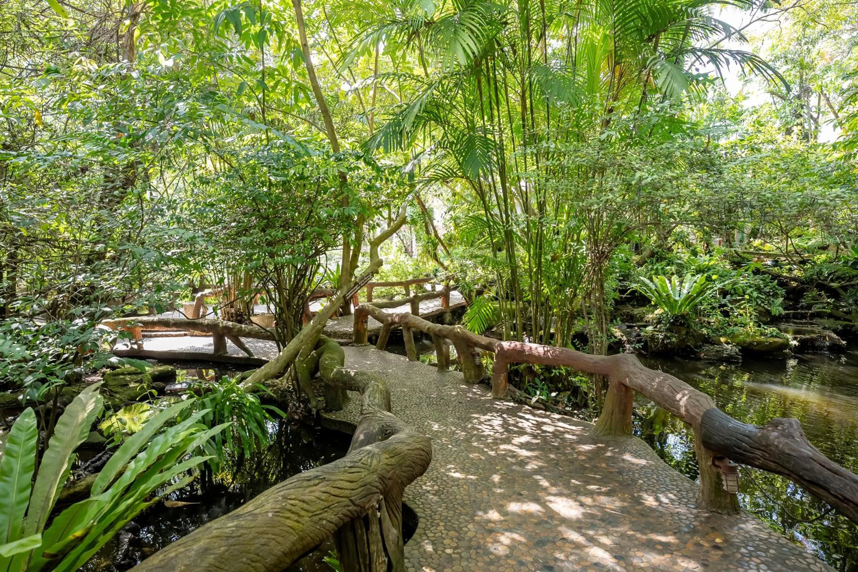 Restaurant/places to eat in Tamnanpar Resort