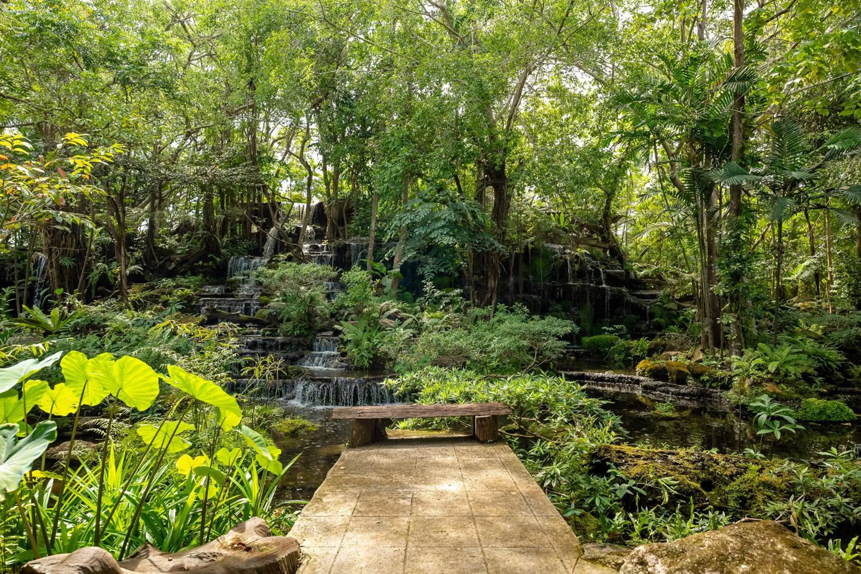 Restaurant/places to eat in Tamnanpar Resort Restaurant/places to eat in Tamnanpar Resort