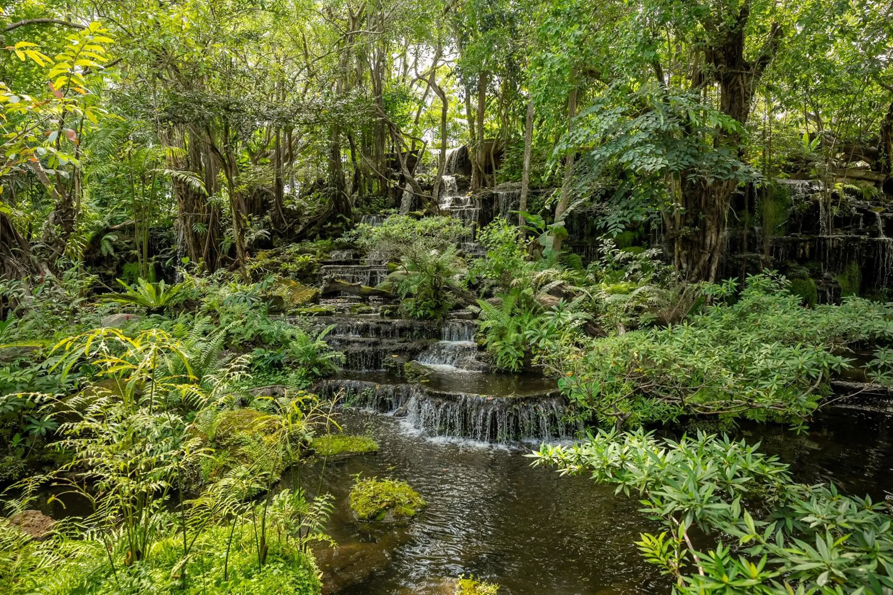 Restaurant/places to eat in Tamnanpar Resort Restaurant/places to eat in Tamnanpar Resort