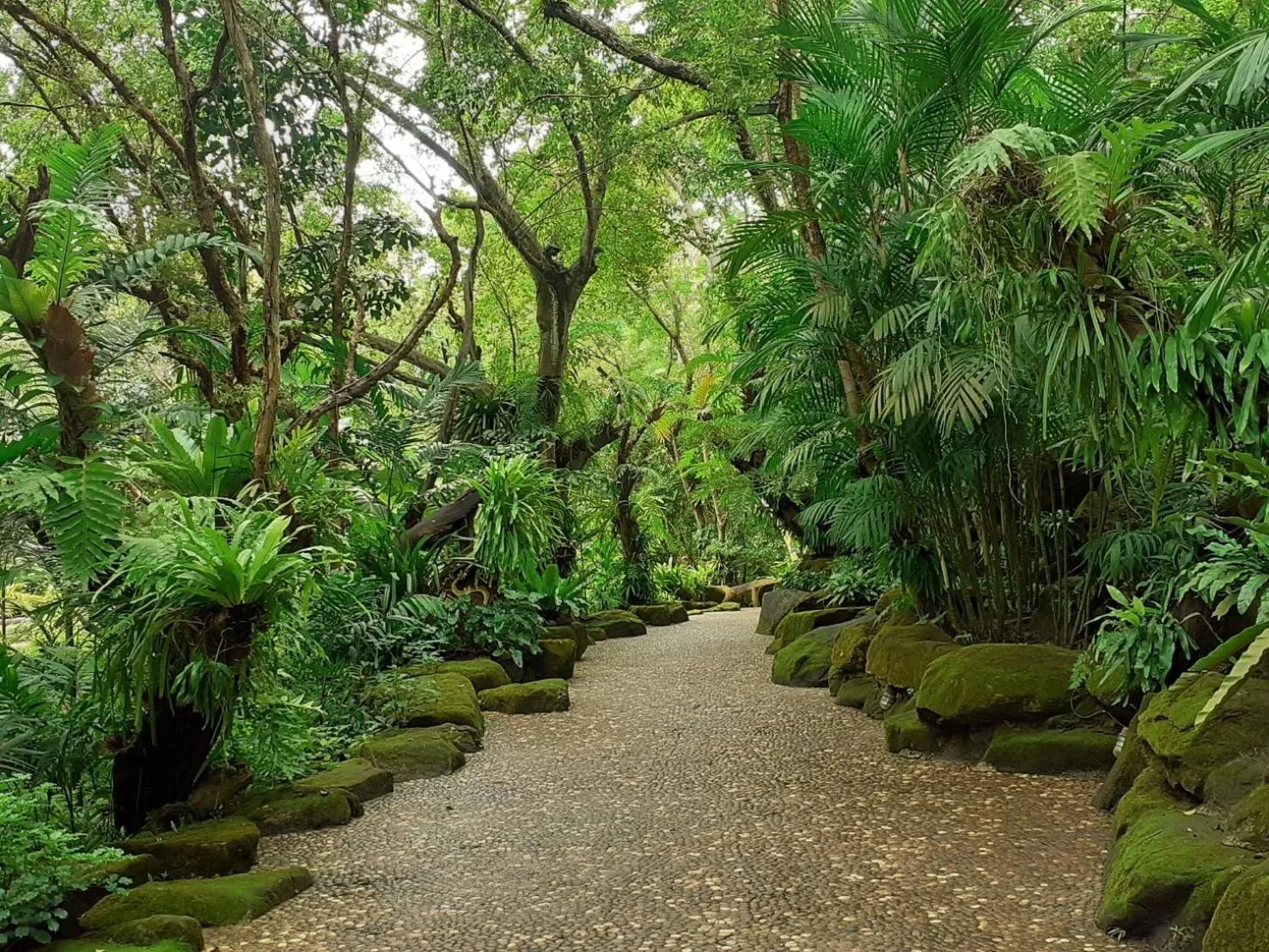 Restaurant/places to eat in Tamnanpar Resort