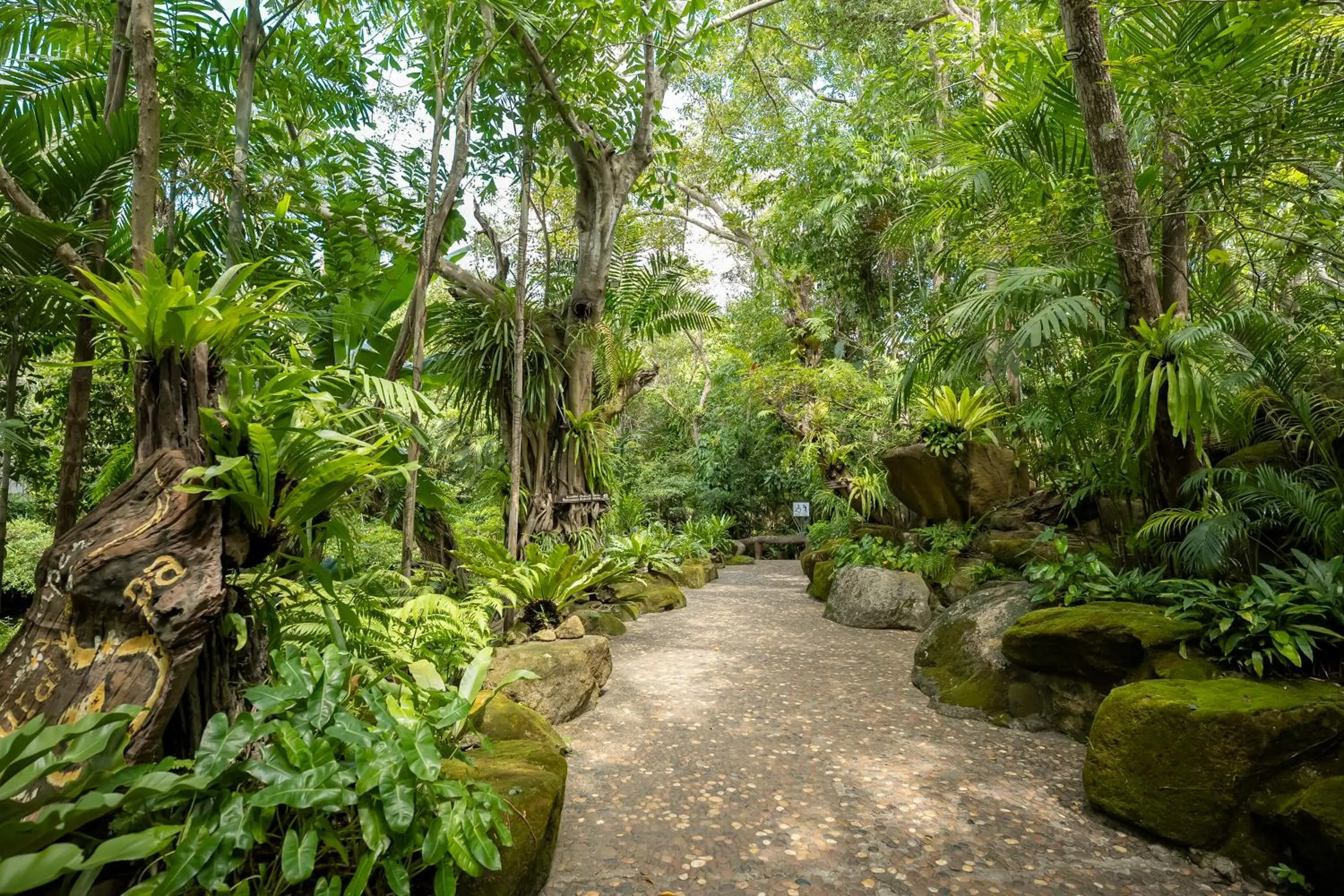 Restaurant/places to eat in Tamnanpar Resort Restaurant/places to eat in Tamnanpar Resort