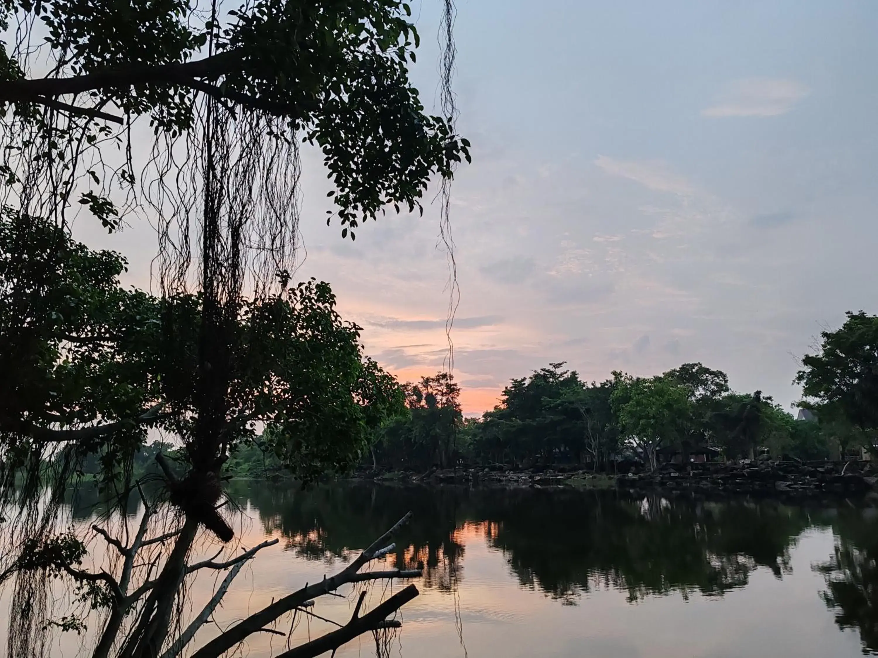 View (from property/room) in Tamnanpar Resort View (from property/room) in Tamnanpar Resort