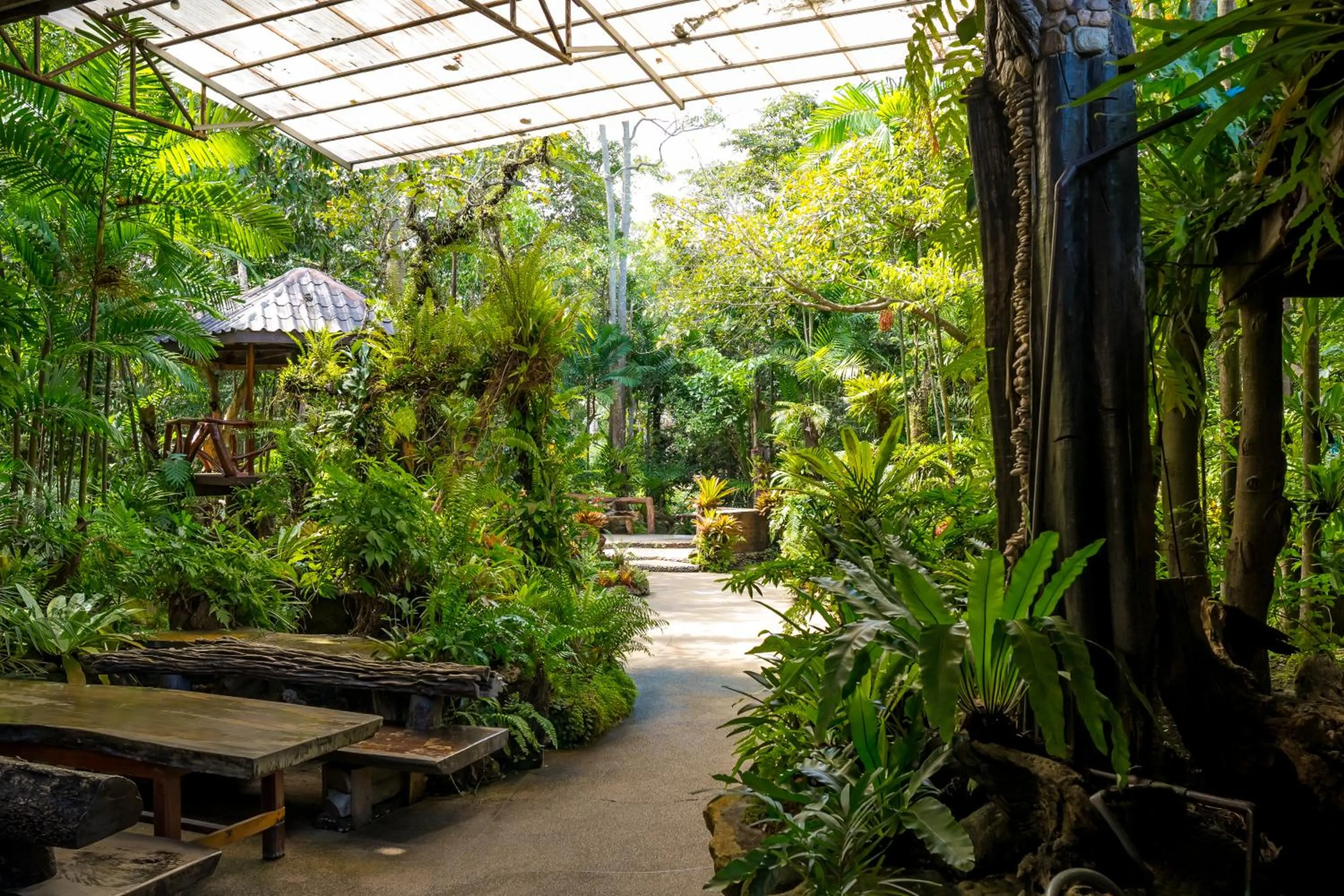 Restaurant/places to eat in Tamnanpar Resort