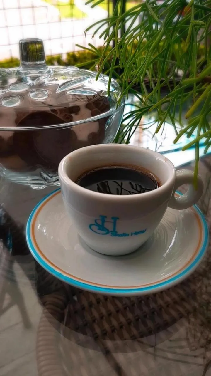 Garden in Skalla Hotel Nova Odessa