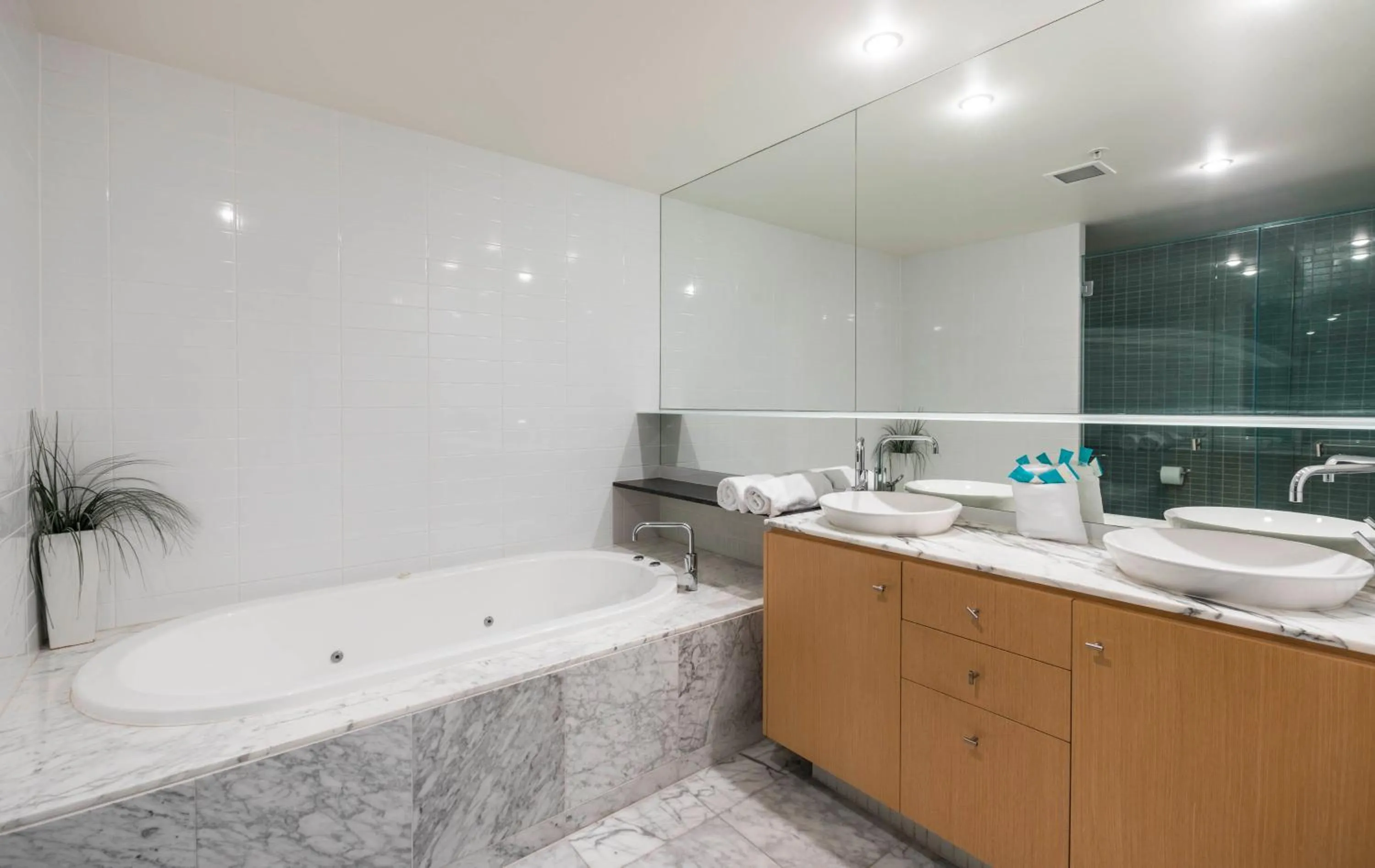 Shower in Aria Apartments