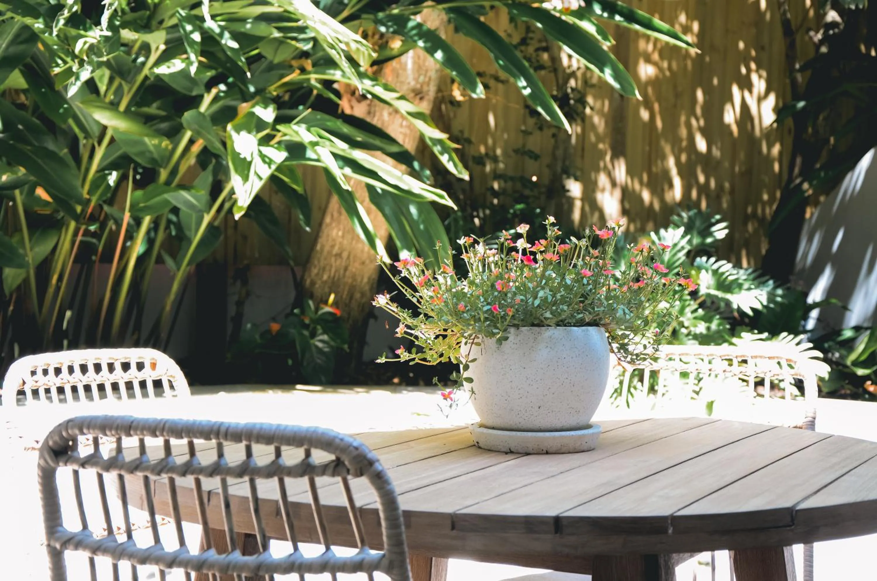 Patio in Beach Suites