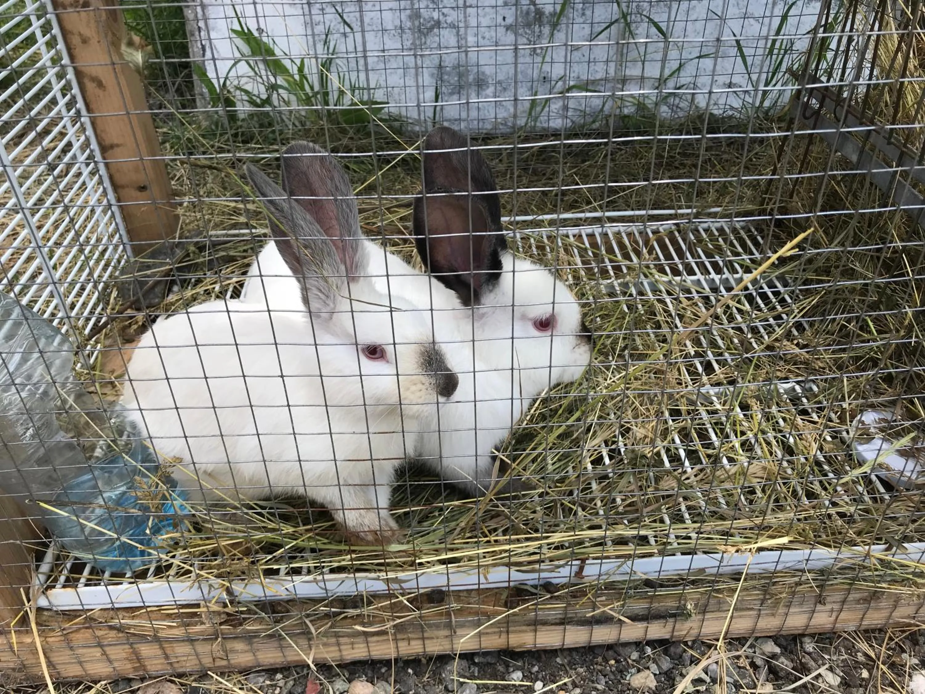 Armenia VanSevan Hotel