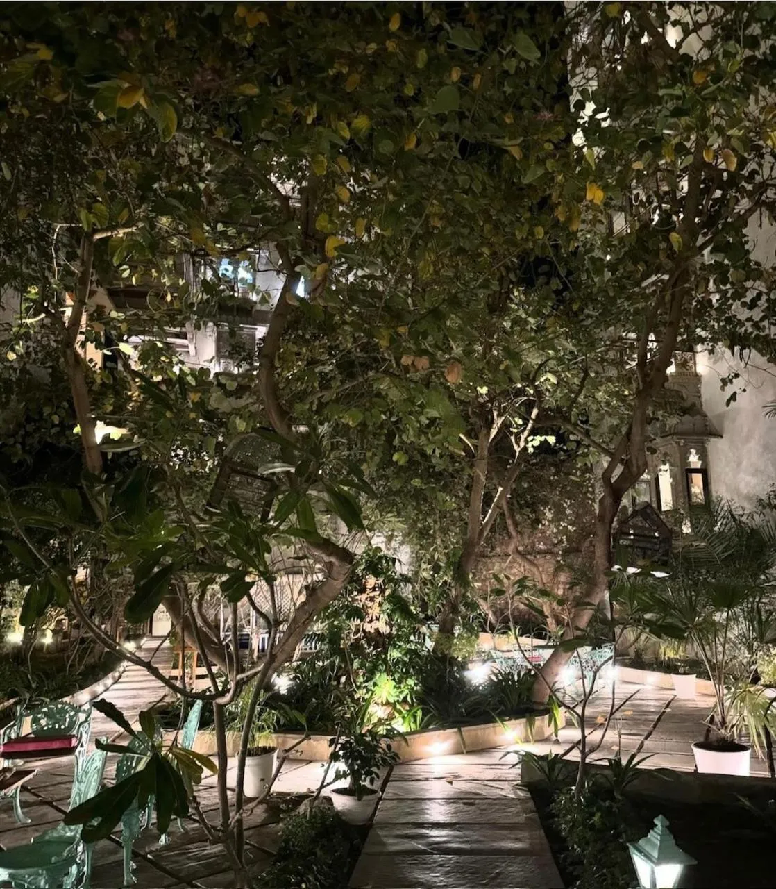 Garden in Hotel Udai Kothi