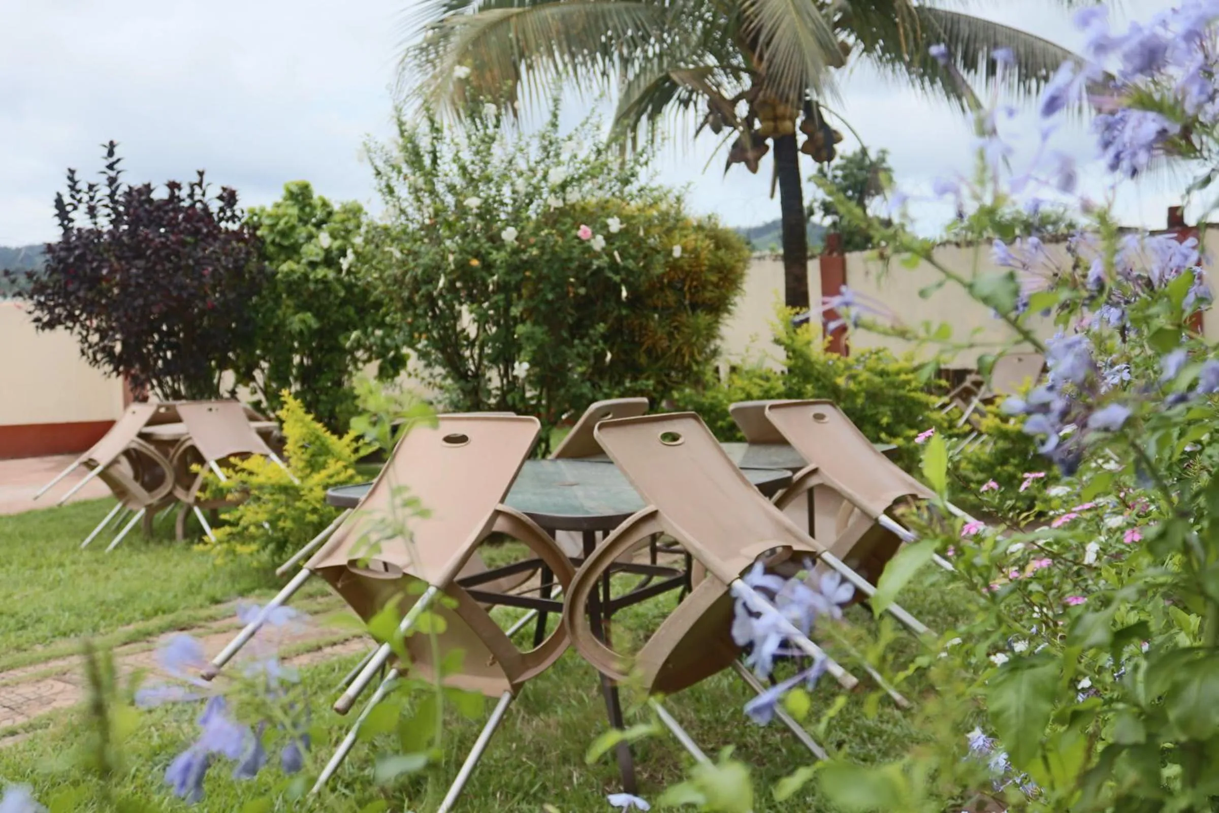 Garden view in Paloma Guest House
