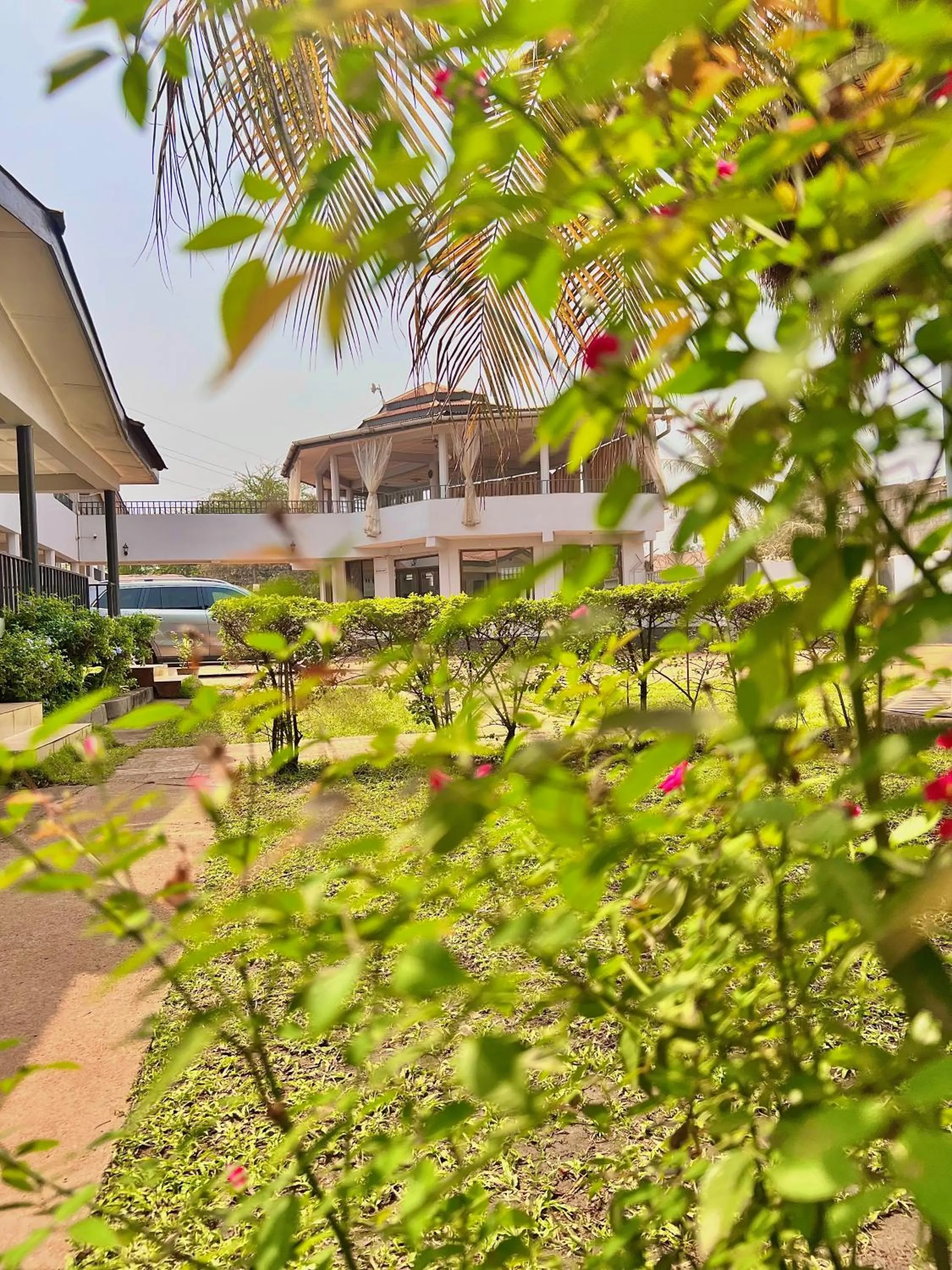 Garden view in Paloma Guest House