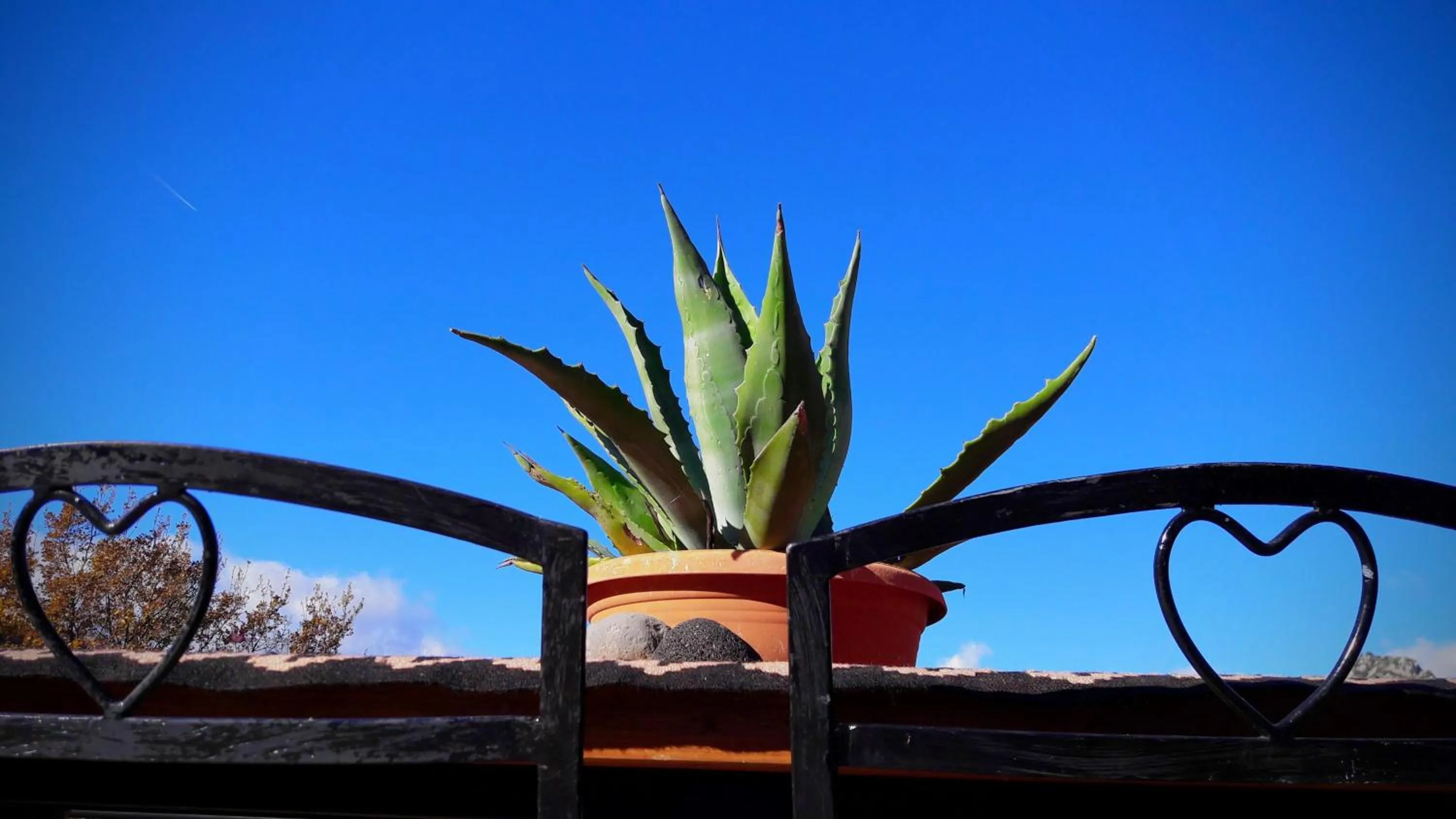 View (from property/room) in Helicon Muses Friendly Mountain B&B Guesthouse
