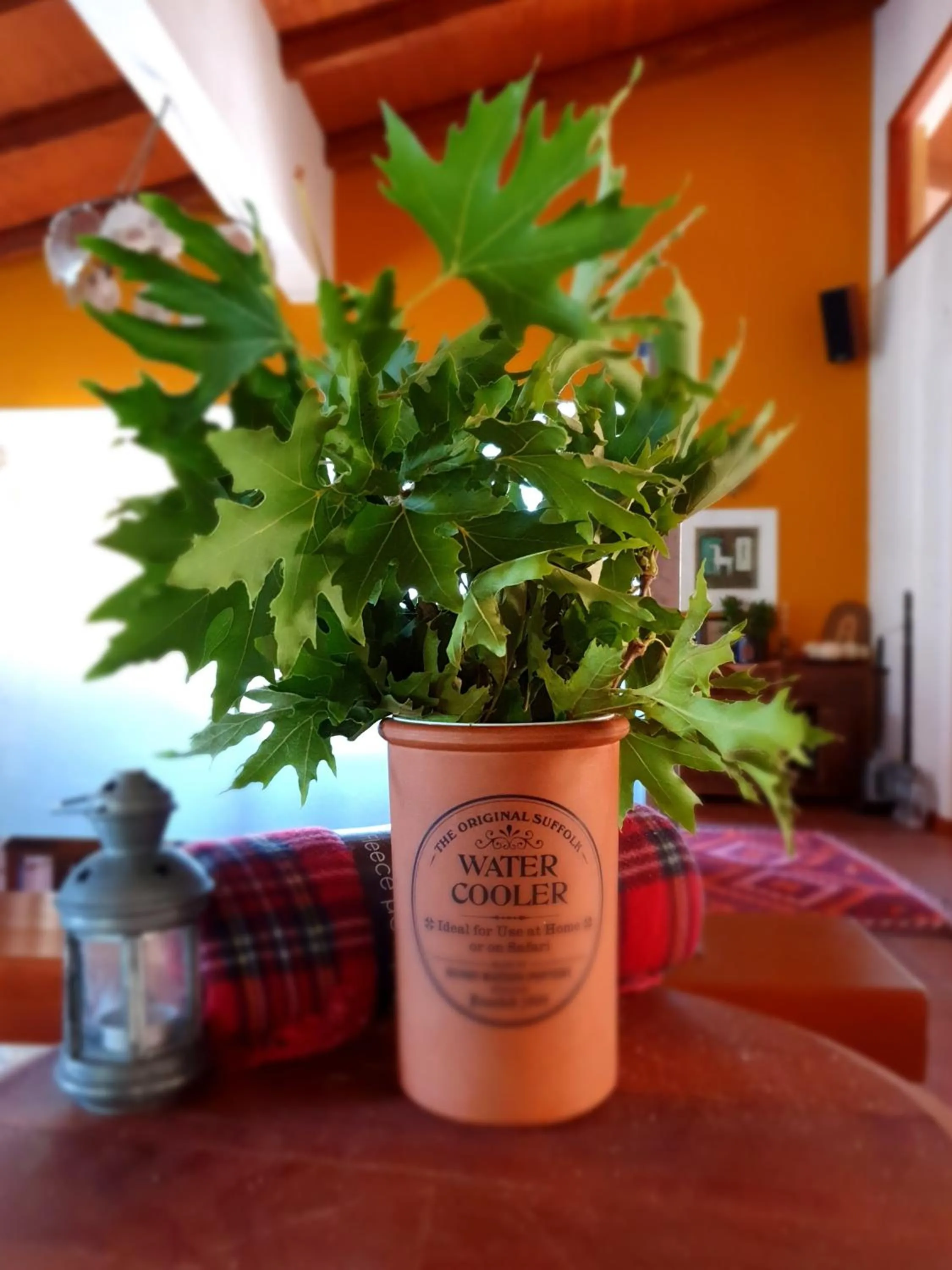 Property building in Helicon Muses Friendly Mountain B&B Guesthouse