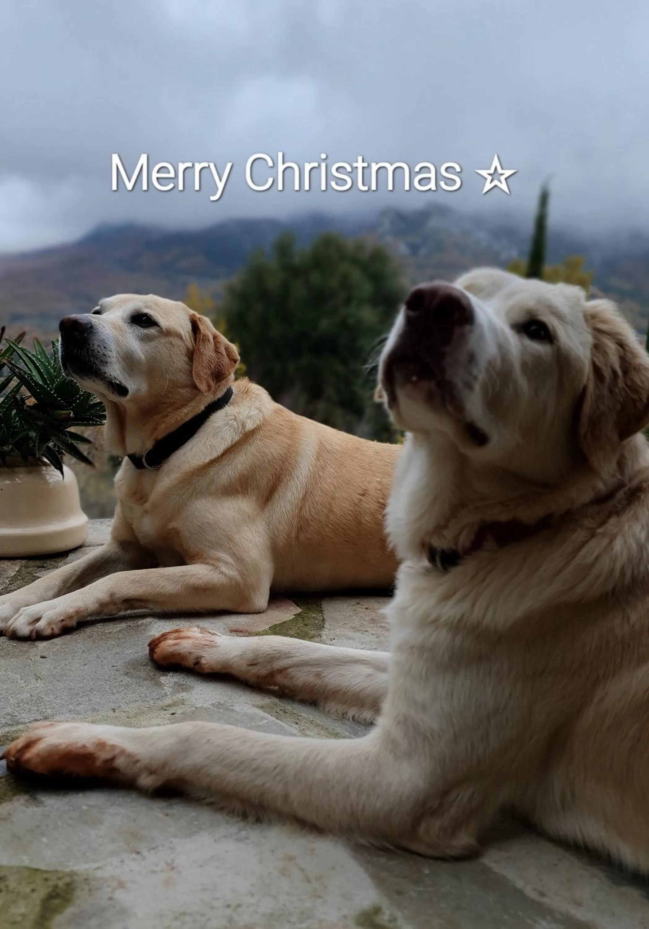 Text overlay in Helicon Muses Friendly Mountain B&B Guesthouse