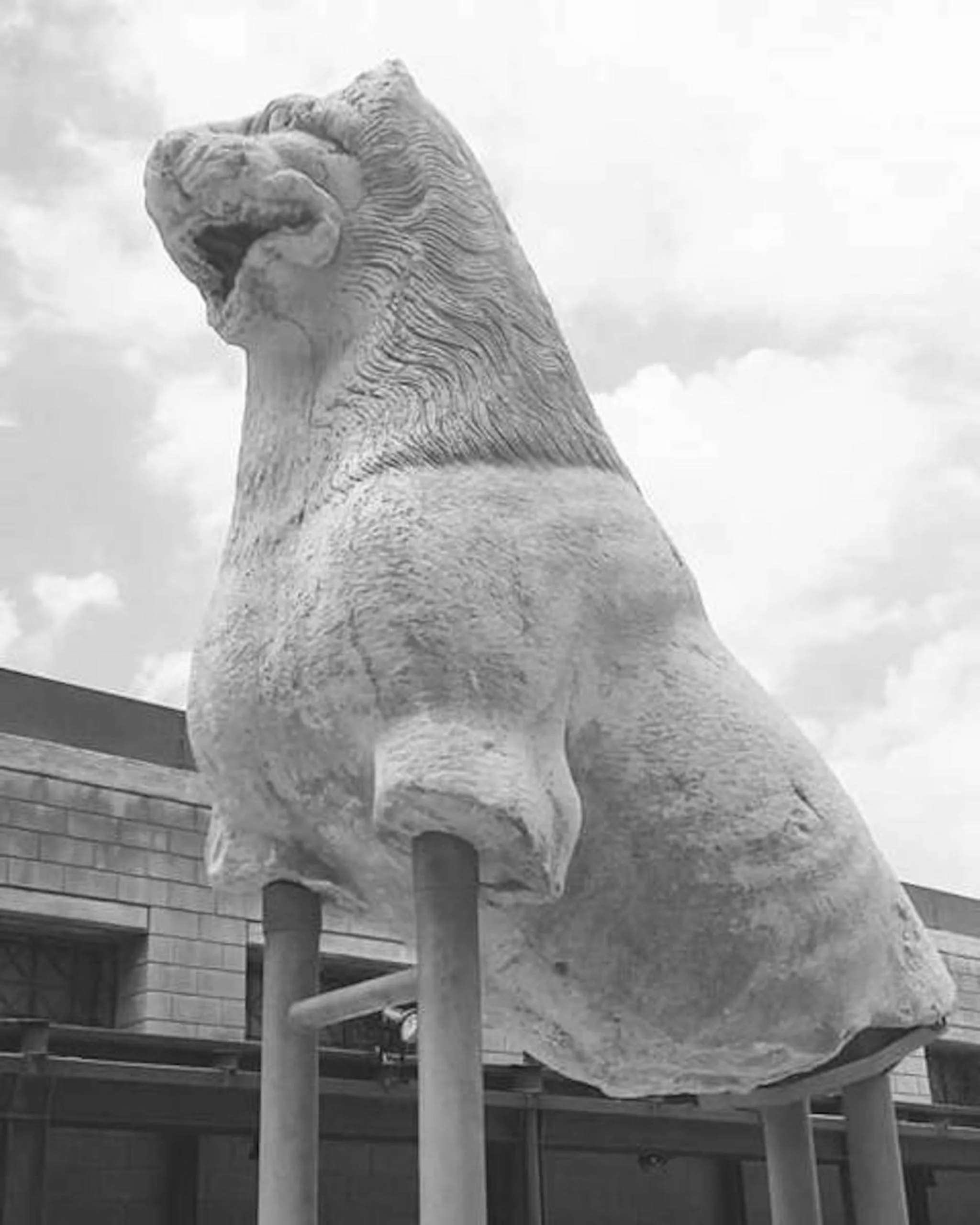 Activities in Helicon Muses Friendly Mountain B&B Guesthouse